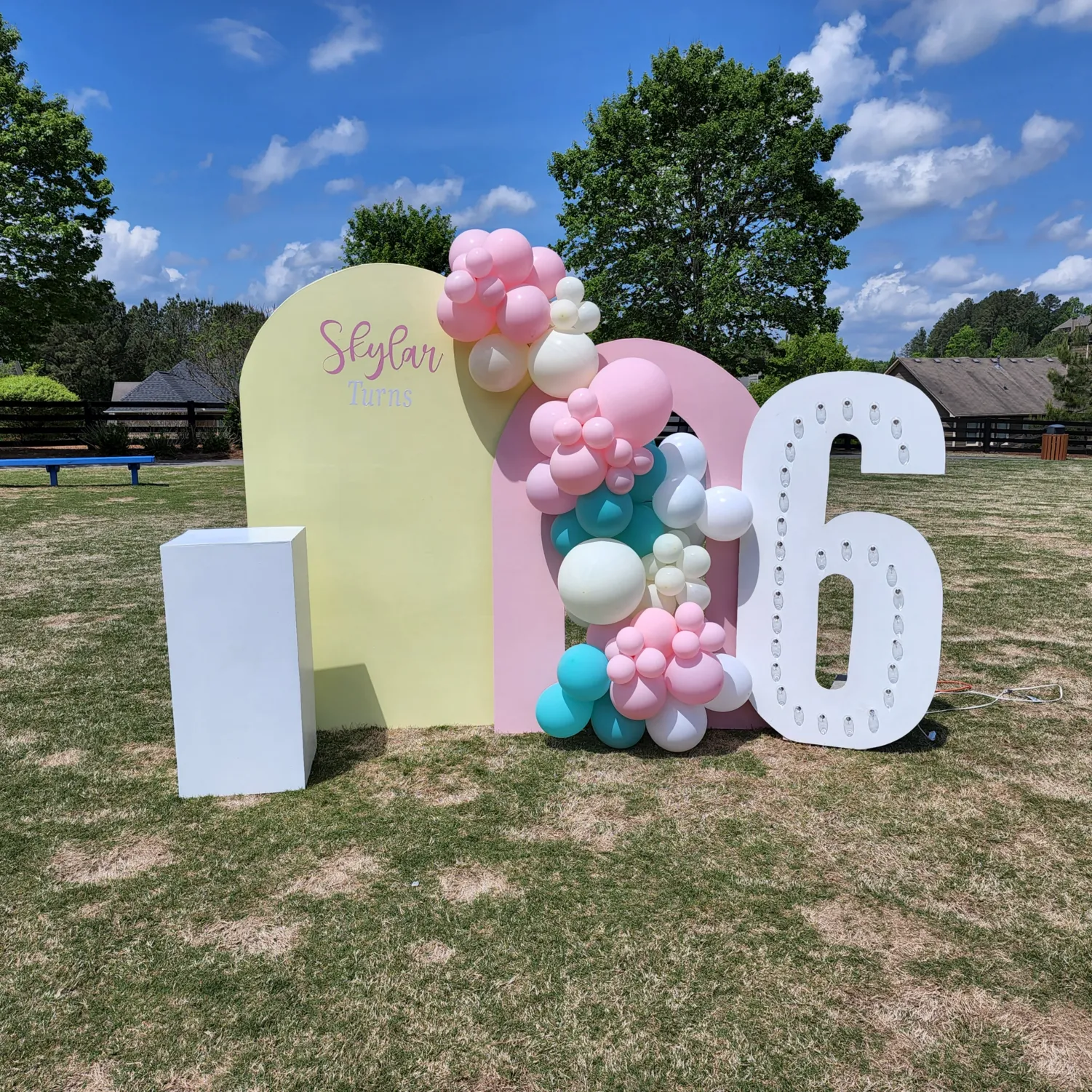 Arch Backdrop Package B