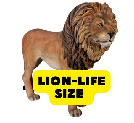 Lion -Life Size