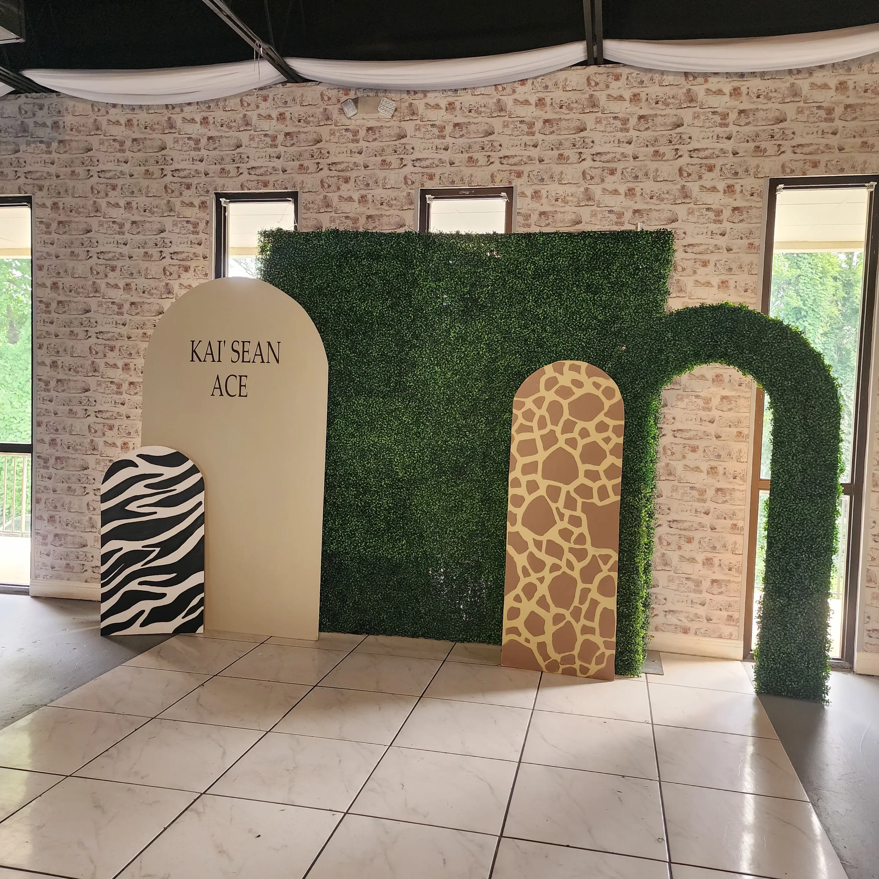 Safari Theme Rental Package 