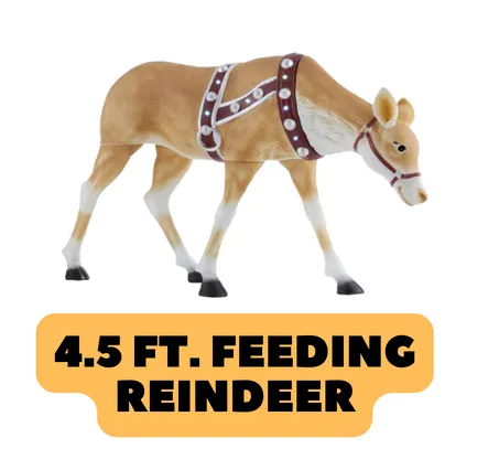 Eating Reindeer