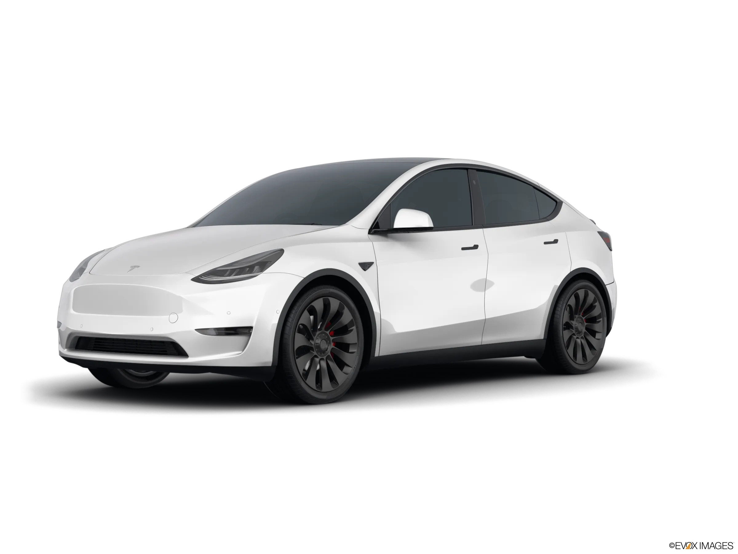Rideshare Ready Model Y | Unlimited KMs