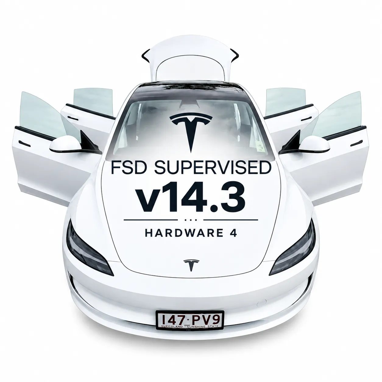Larry | Model 3 RWD LR