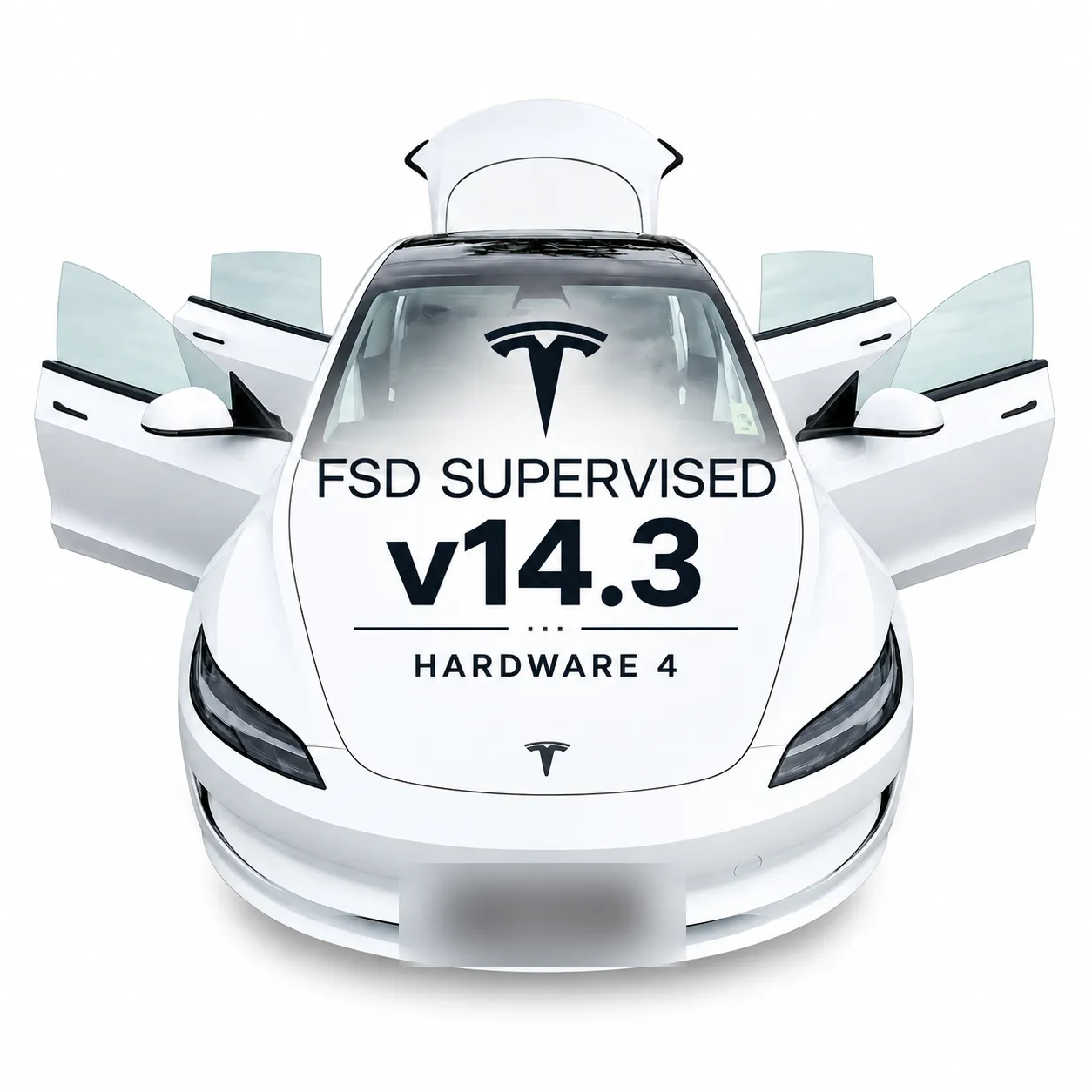 Larry | Model 3 RWD LR FSD