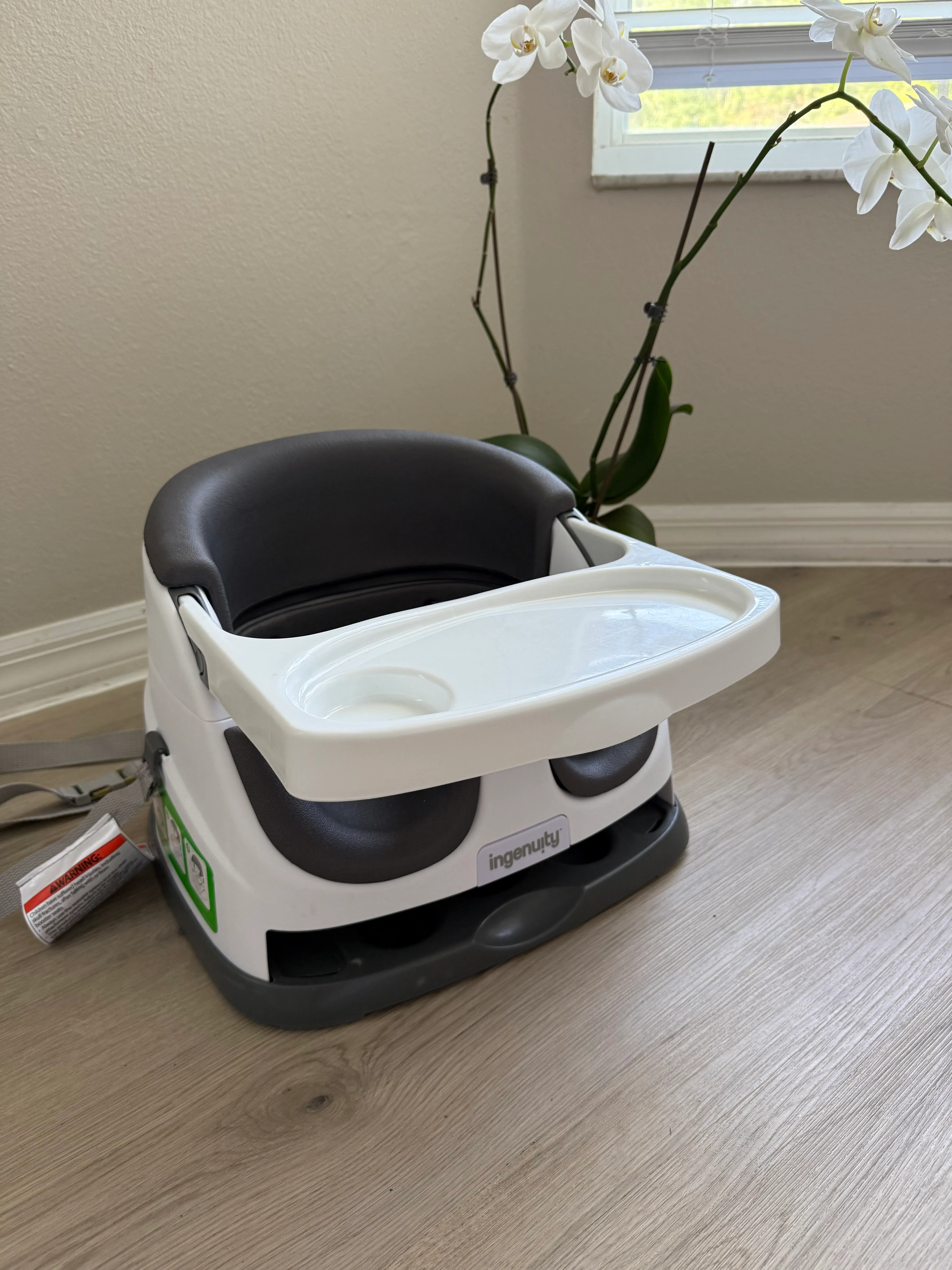 Ingenuity Booster Feeding Seat