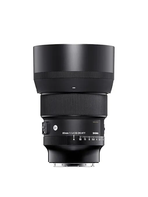 Sigma 85mm 1.4 (Sony Mount)