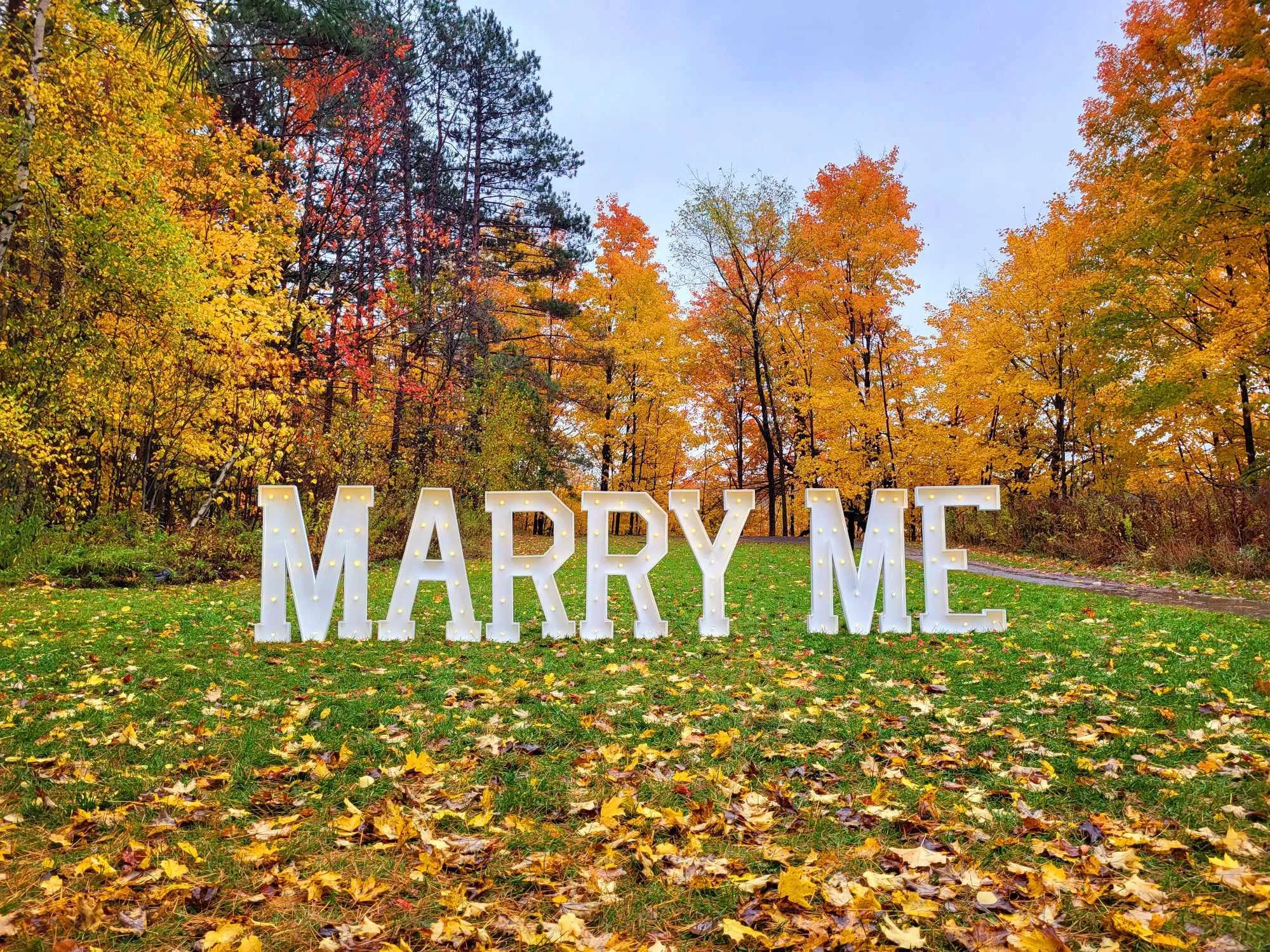 "MARRY ME" - 4FT