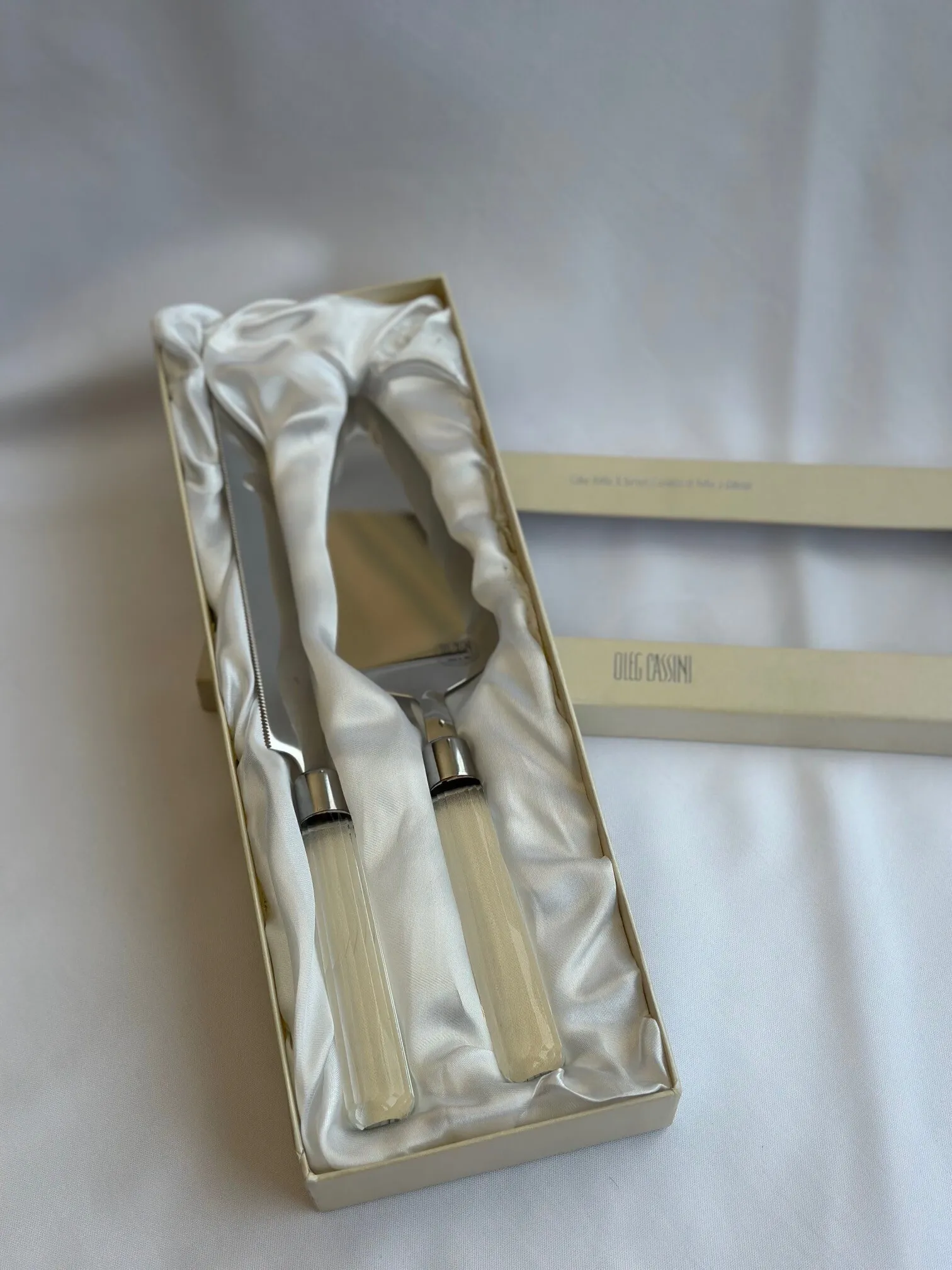 Silver with Acrylic Handle Cake Knife Set