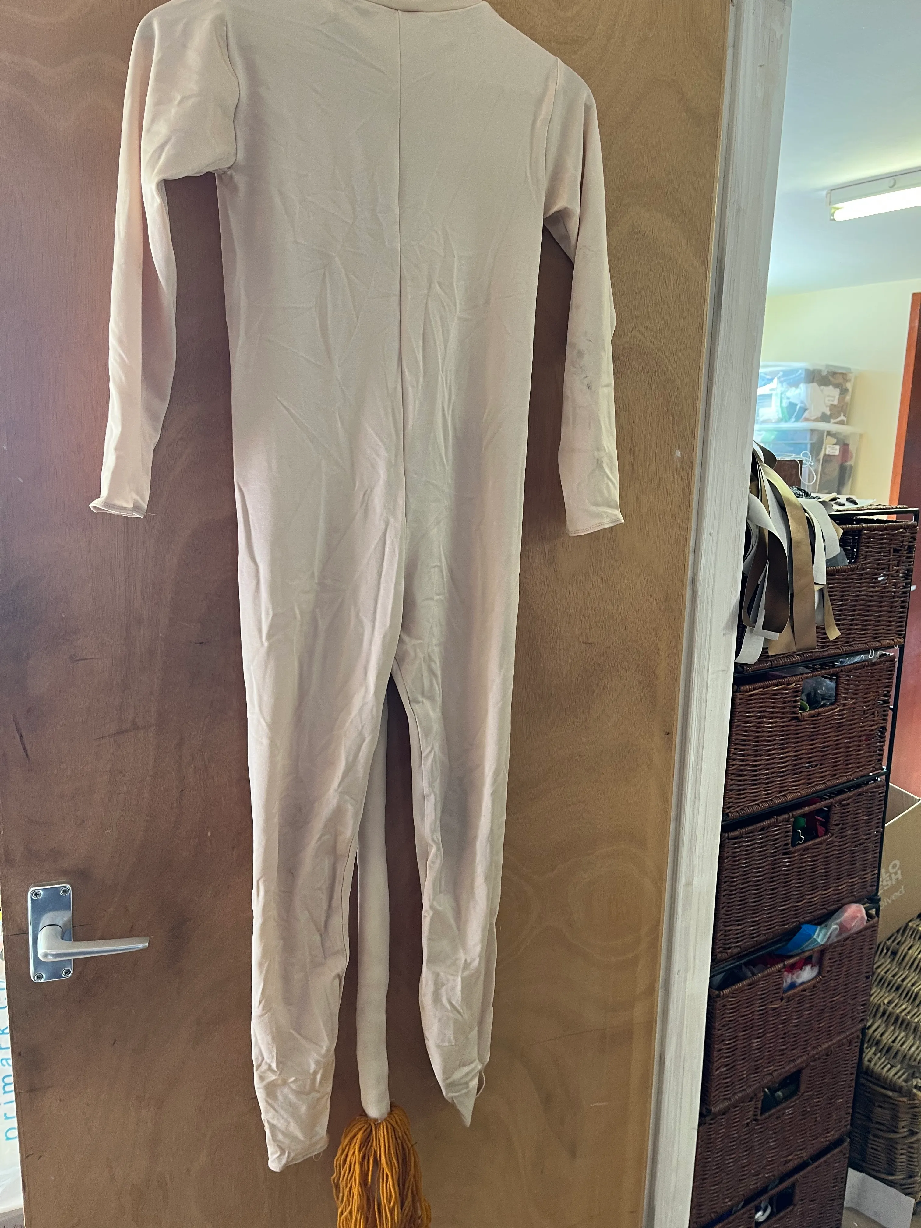 Character- Wizard of OZ Lion costume