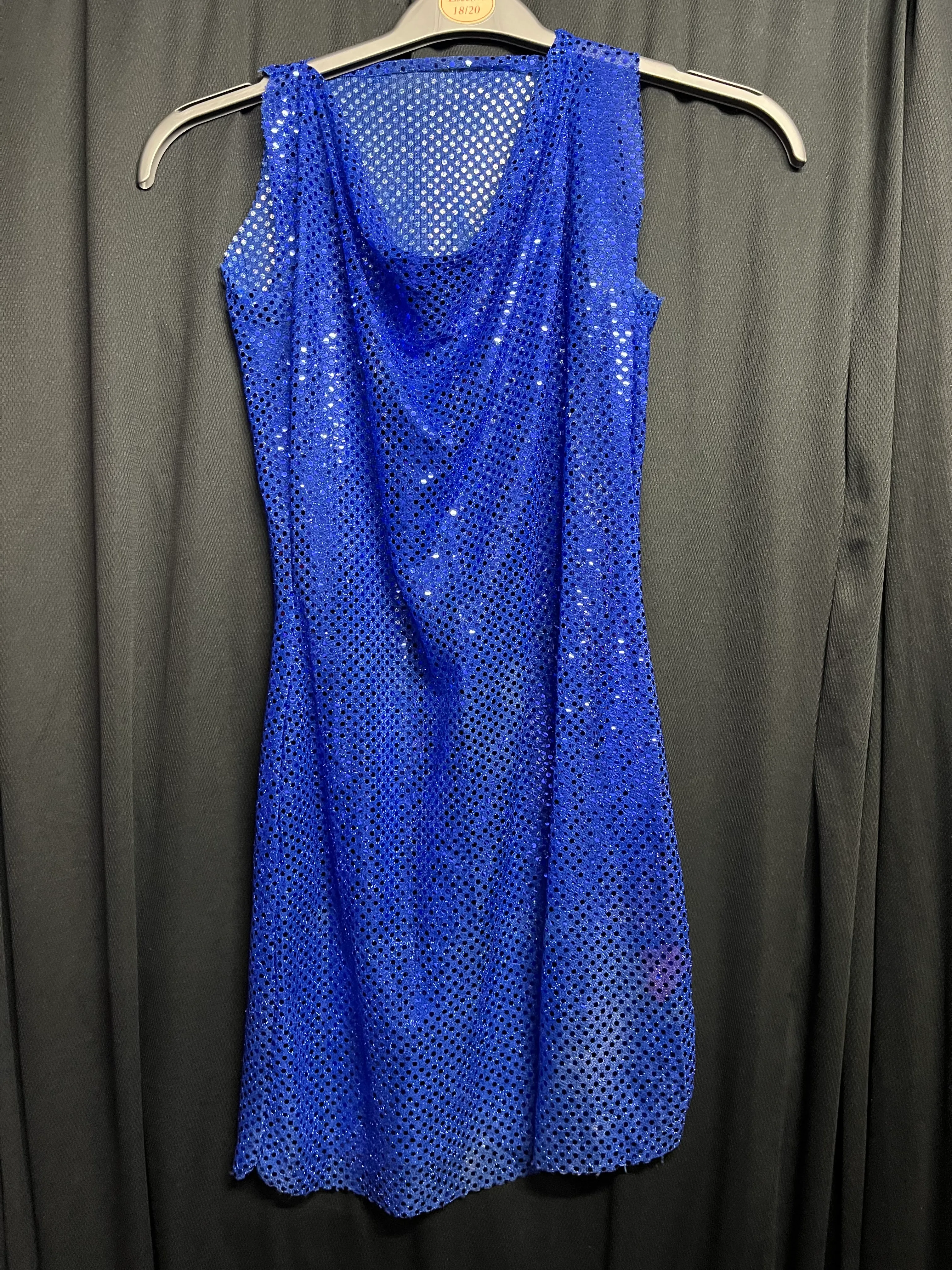 Dress- Sheer Royal blue cow neck 