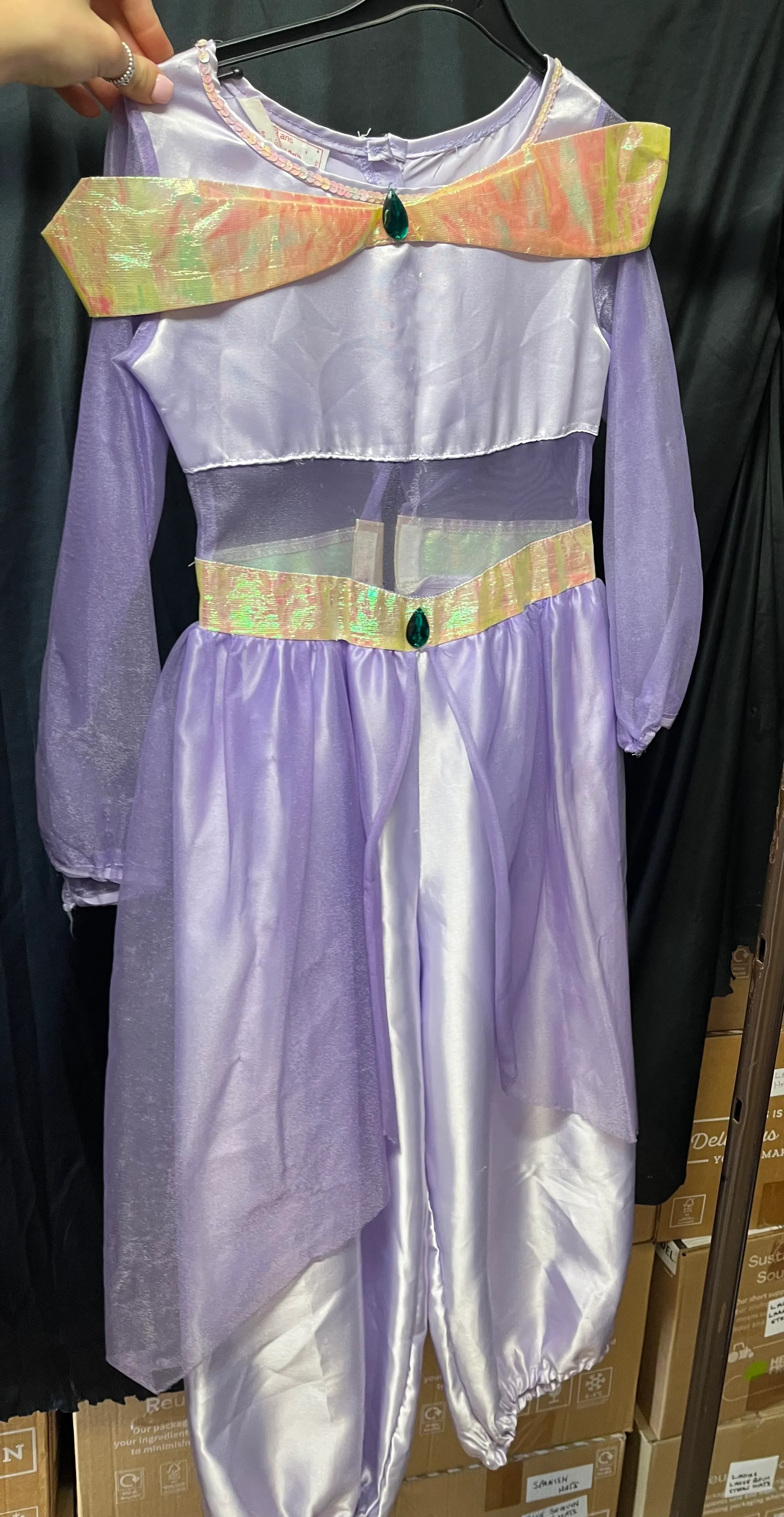 Character- Purple Disney Princess 