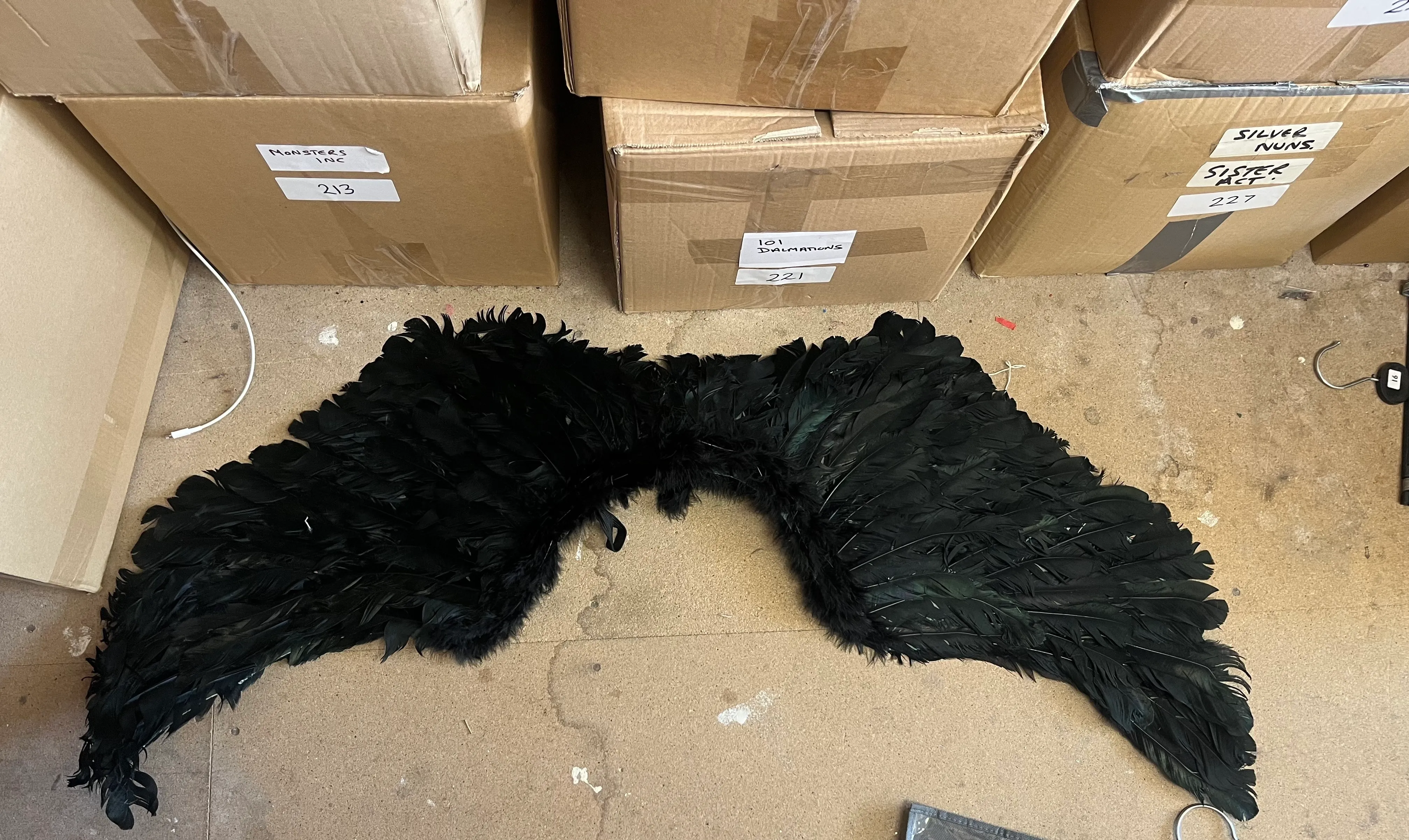 Wings- Black feather