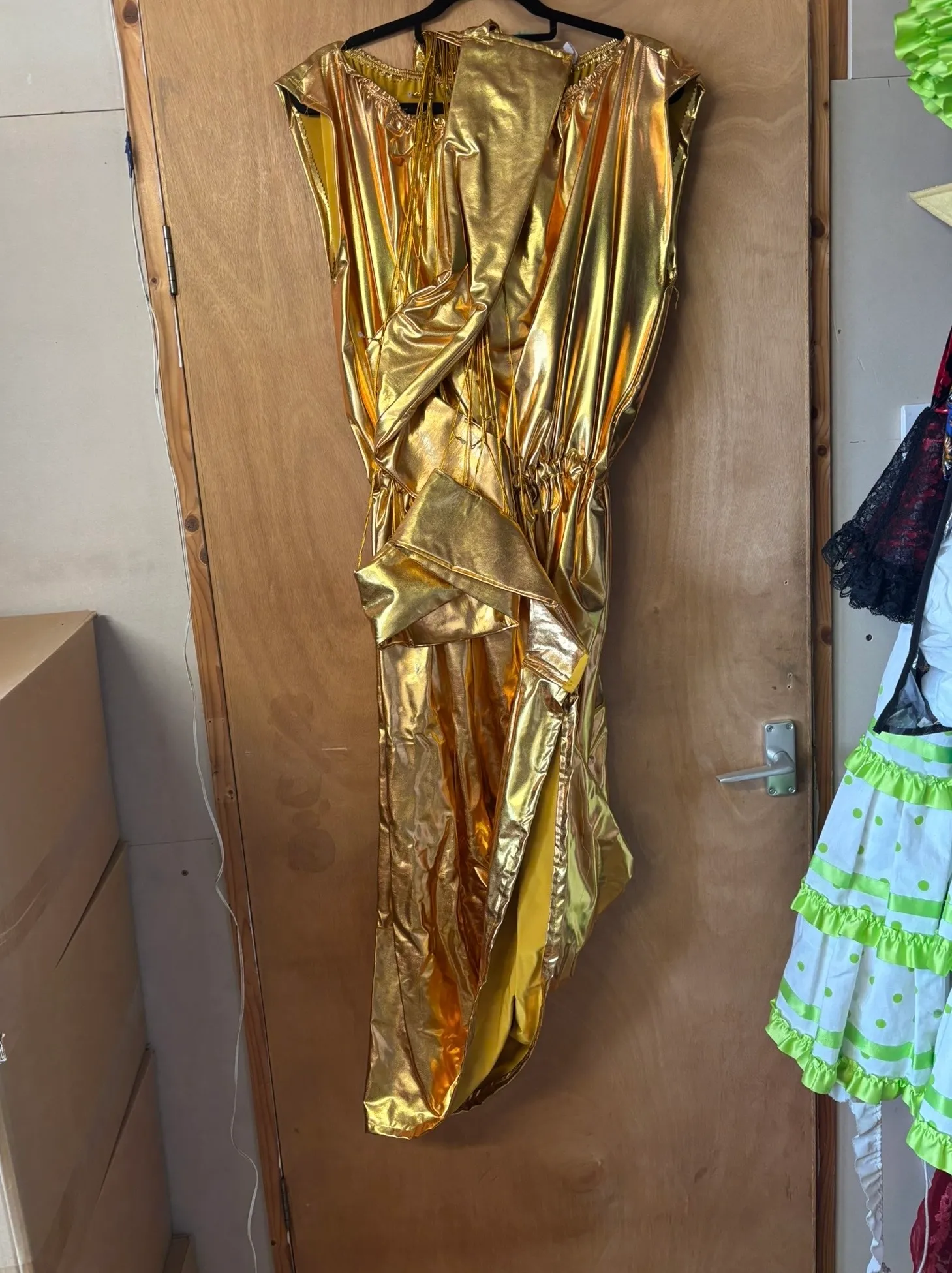 Character- Harp costume