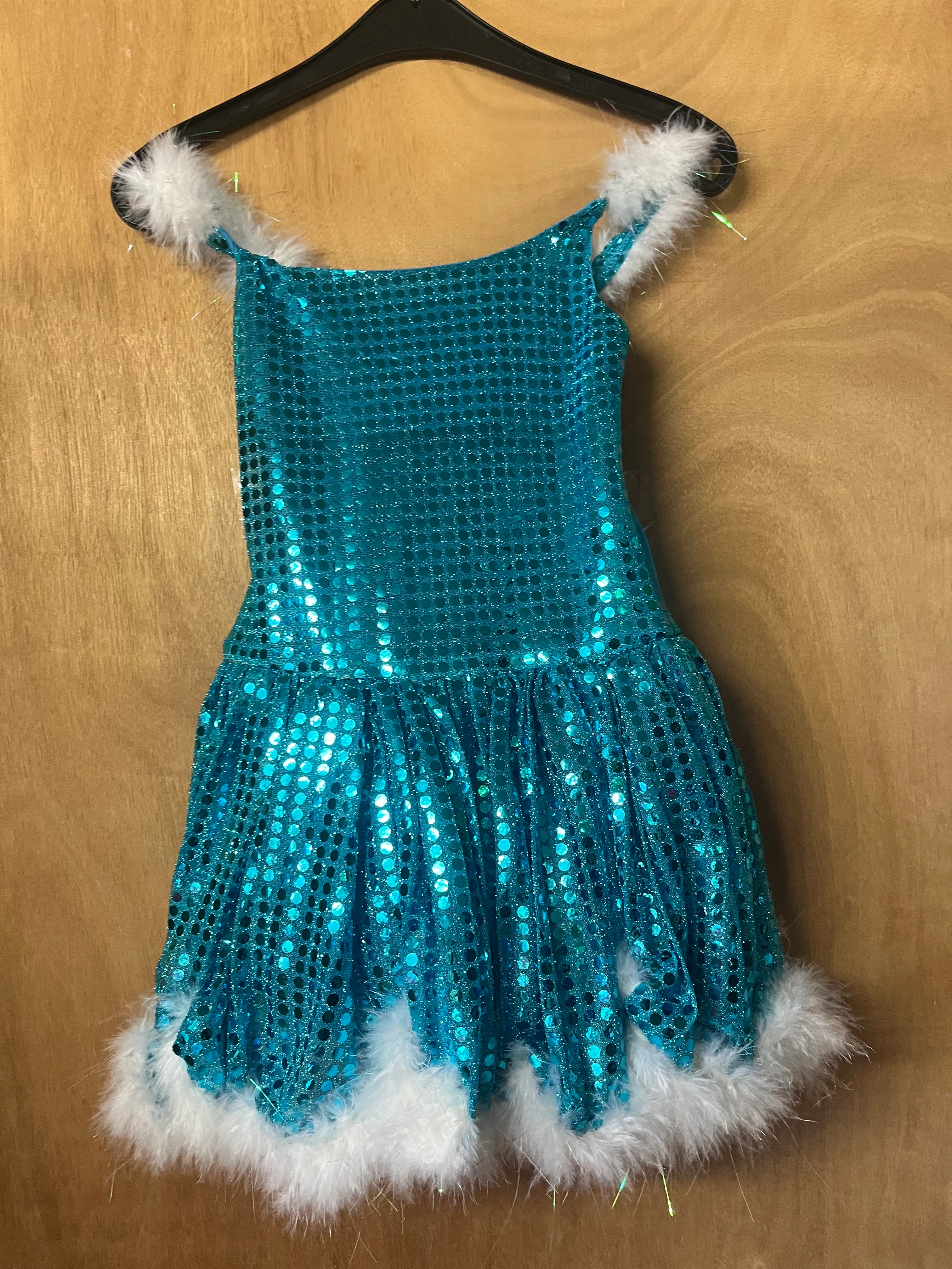 Dress- blue sparkly with fur outline