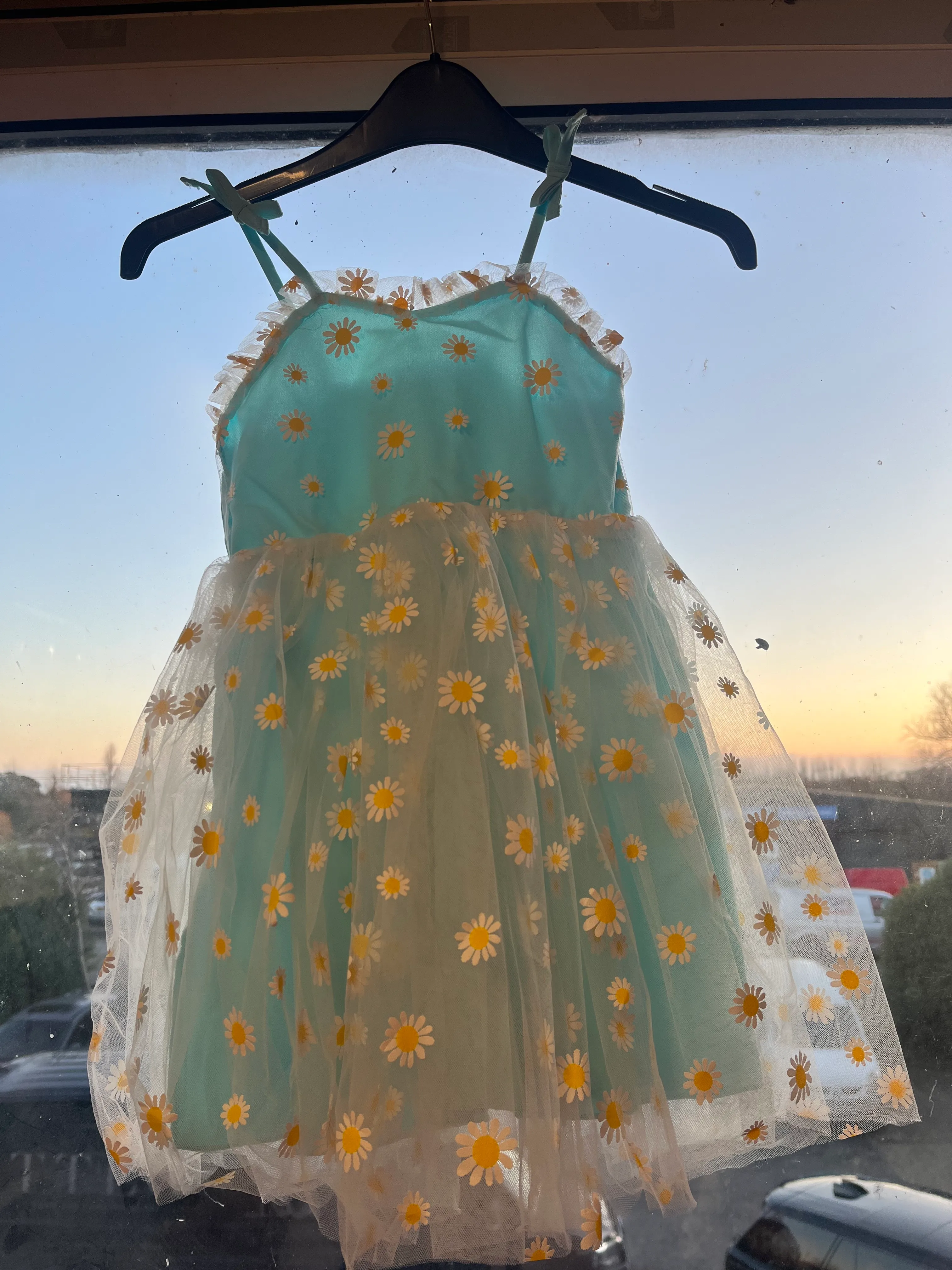 Dress- Blue flower dress