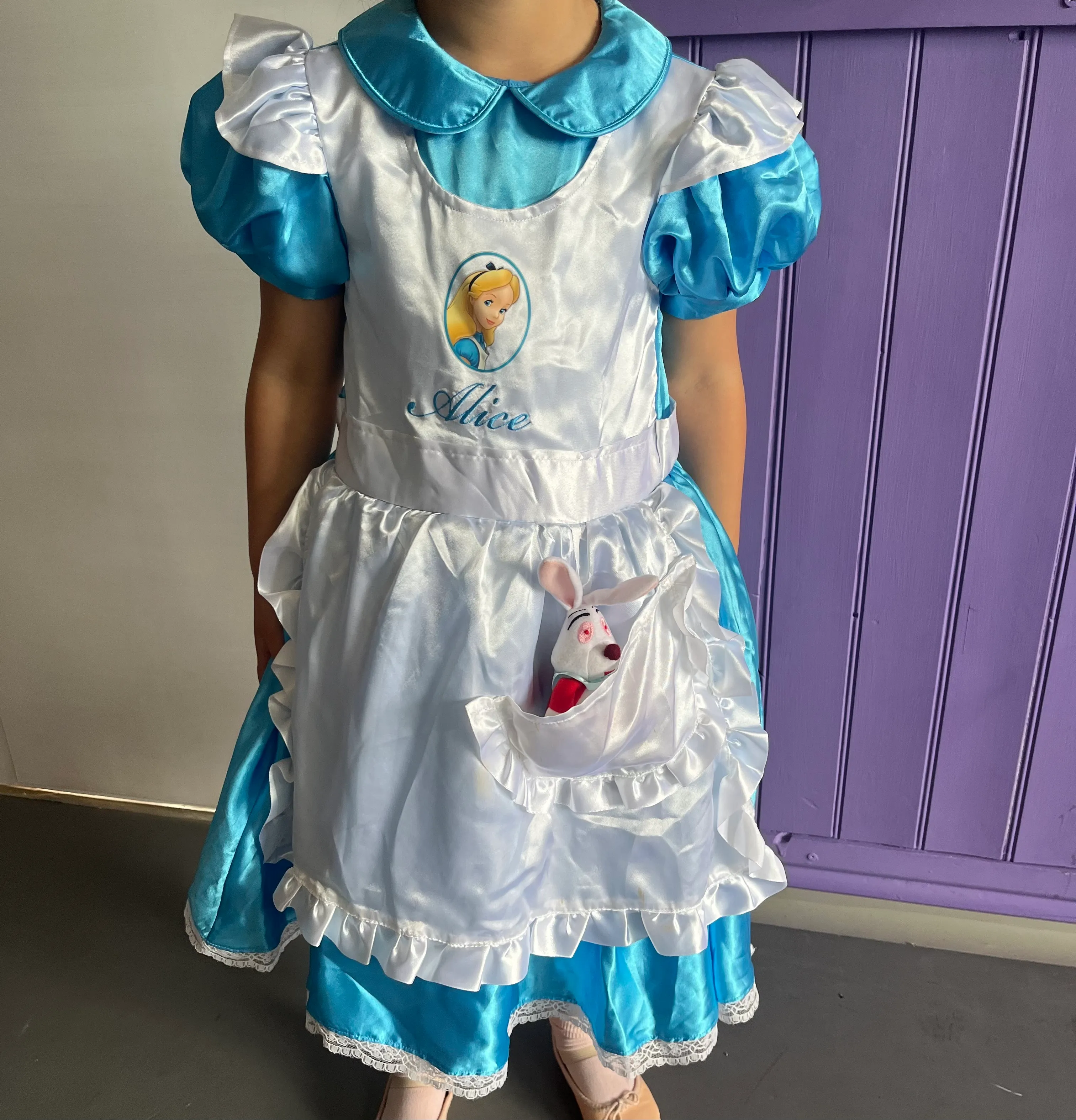 Dress- Blue Alice in wonderland