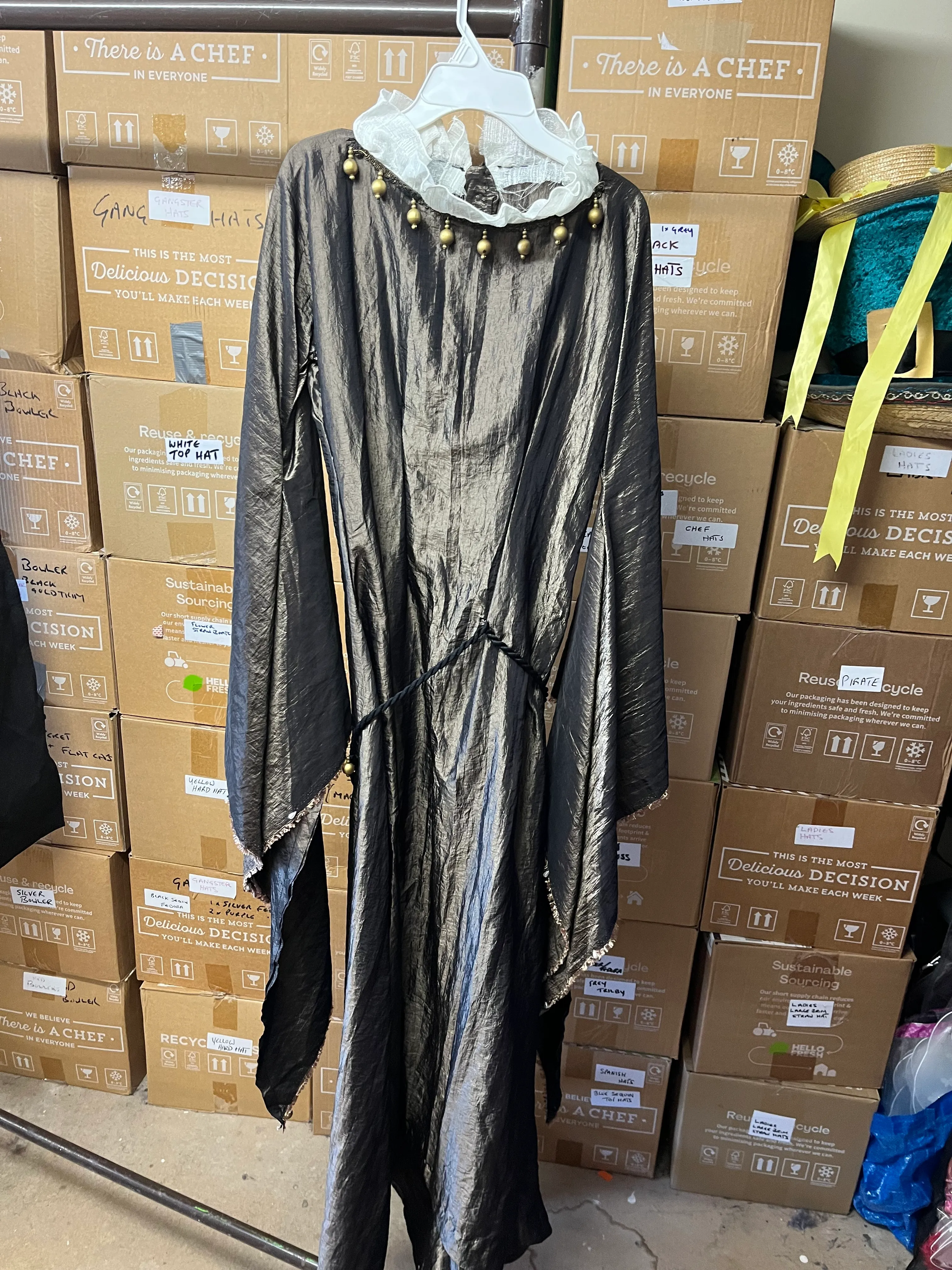 Character- Medieval grey and gold gown