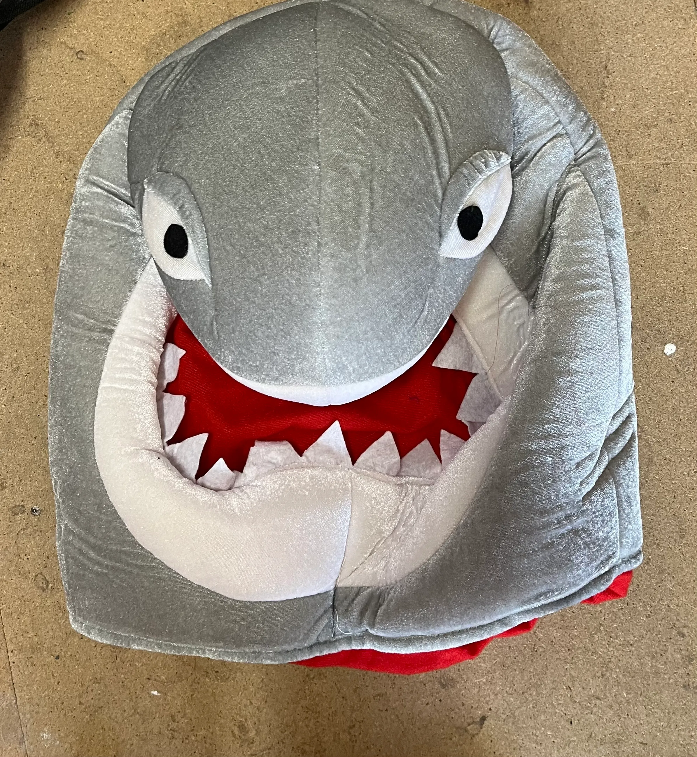 Character- shark