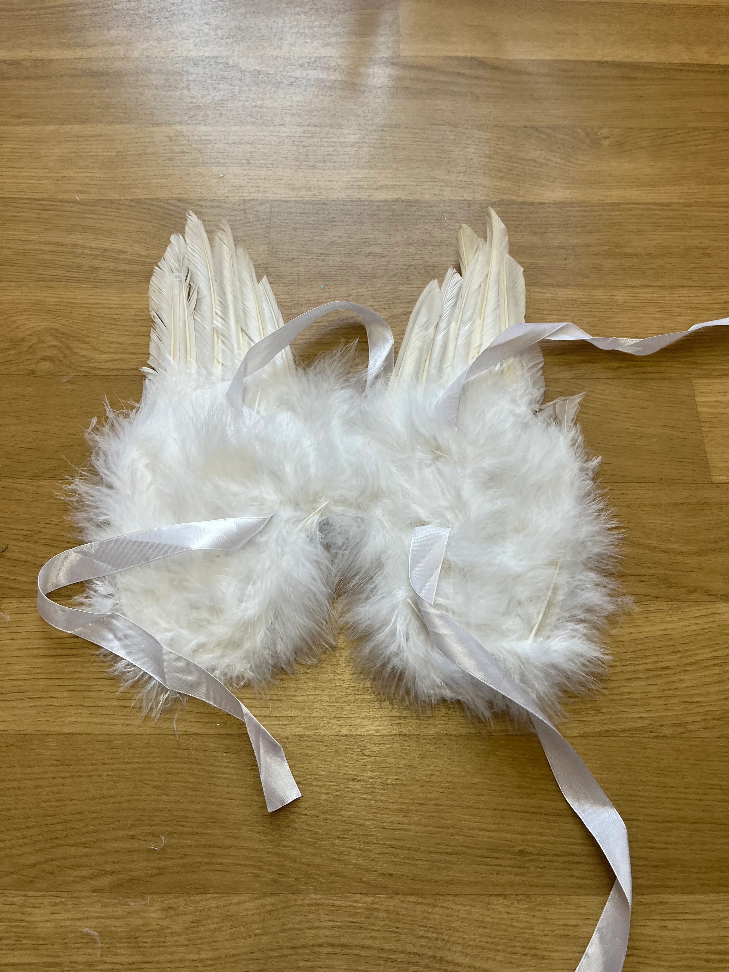 Wings- White feathers