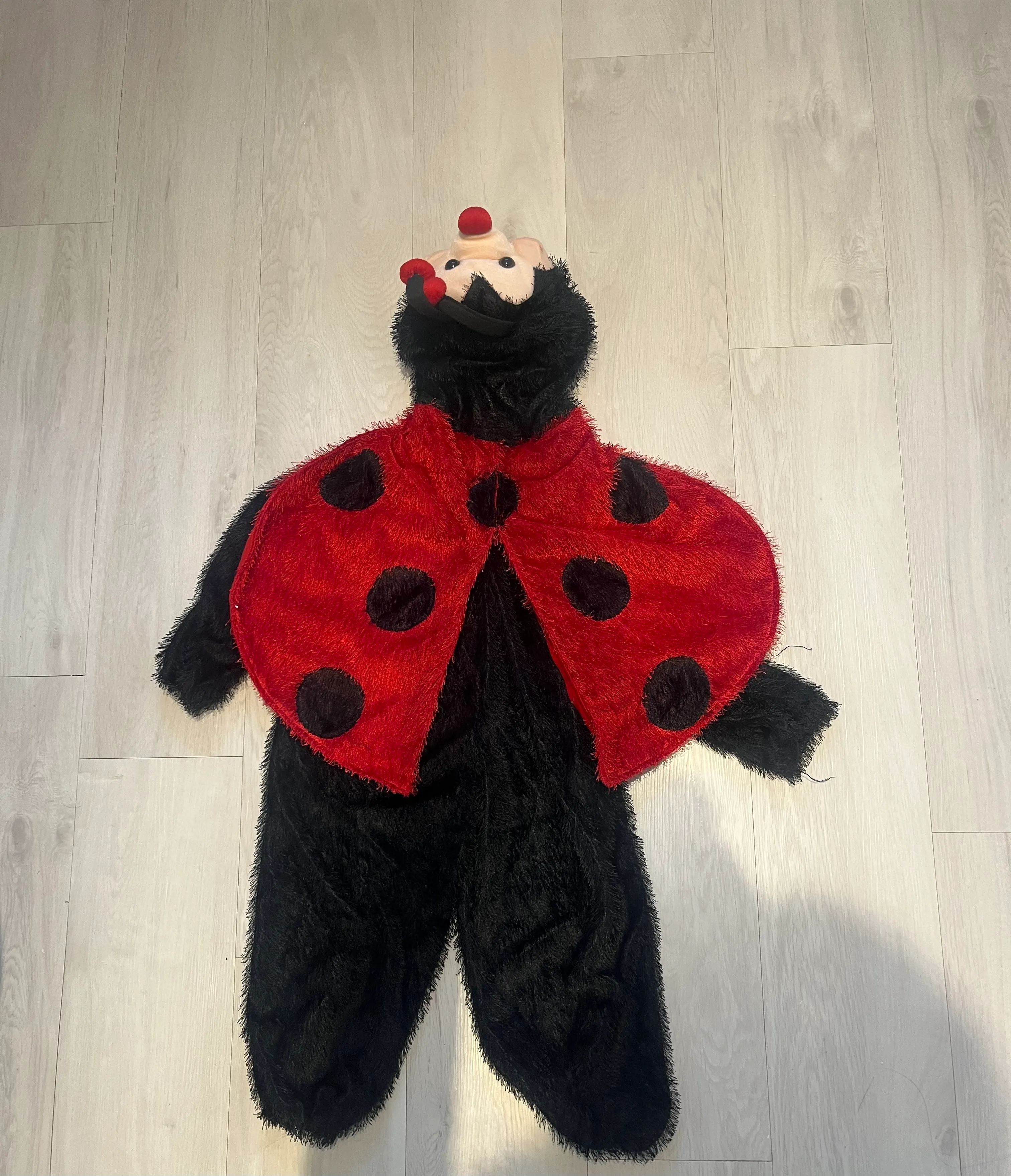 Onesie- Ladybird