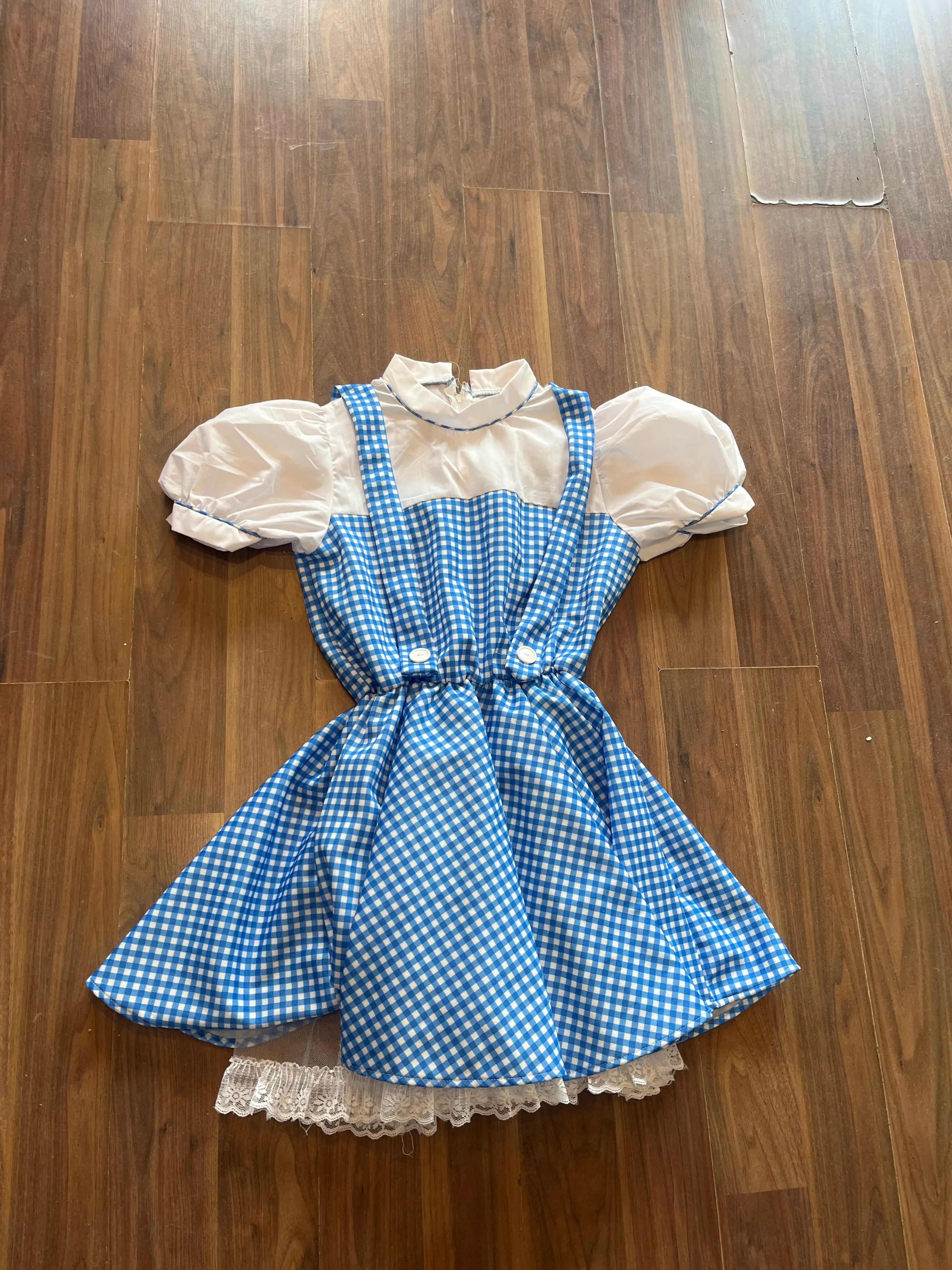 Character- Wizard of oz Blue Dorothy