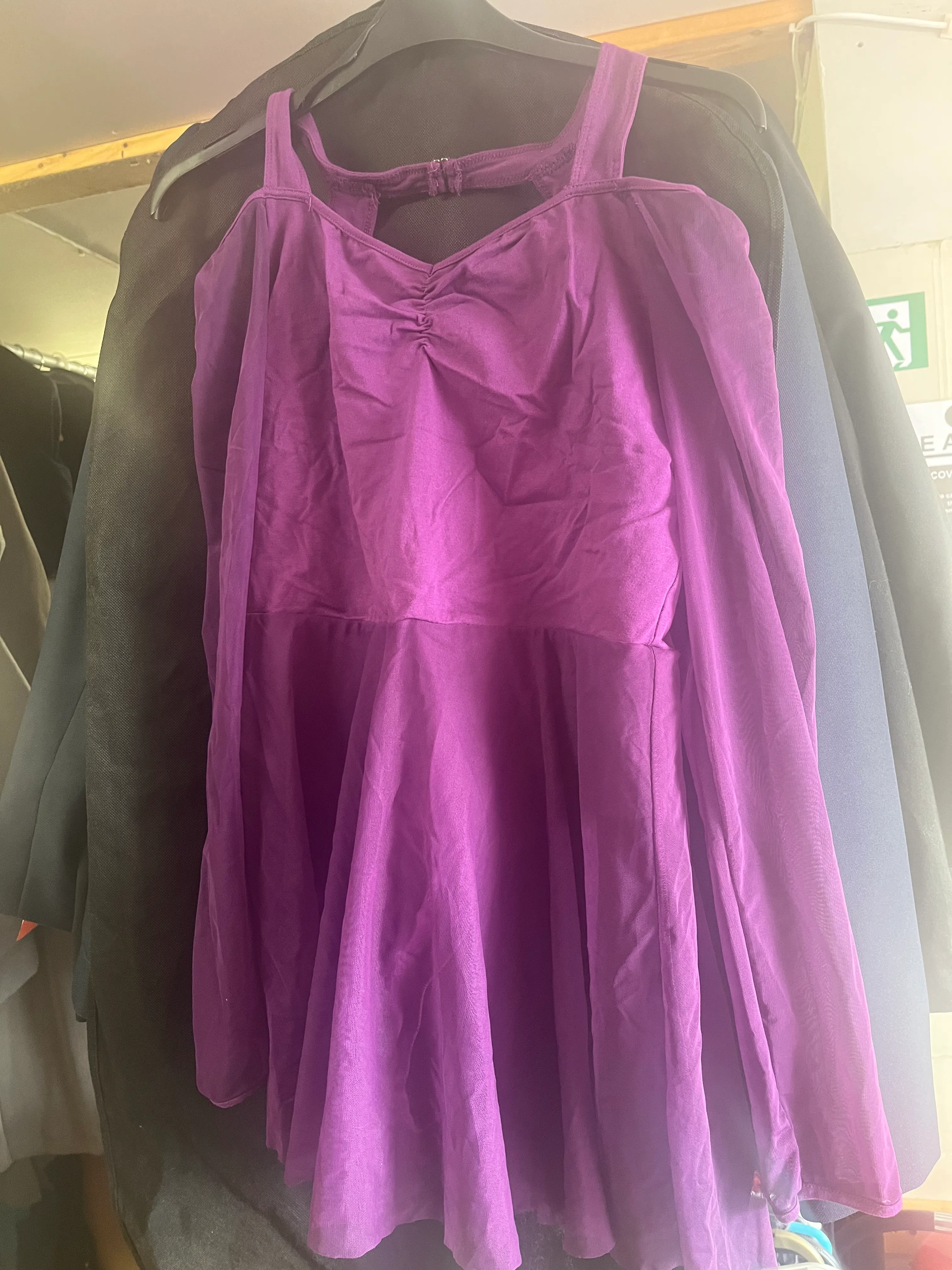 Lyrical Dress - purple net sleeves