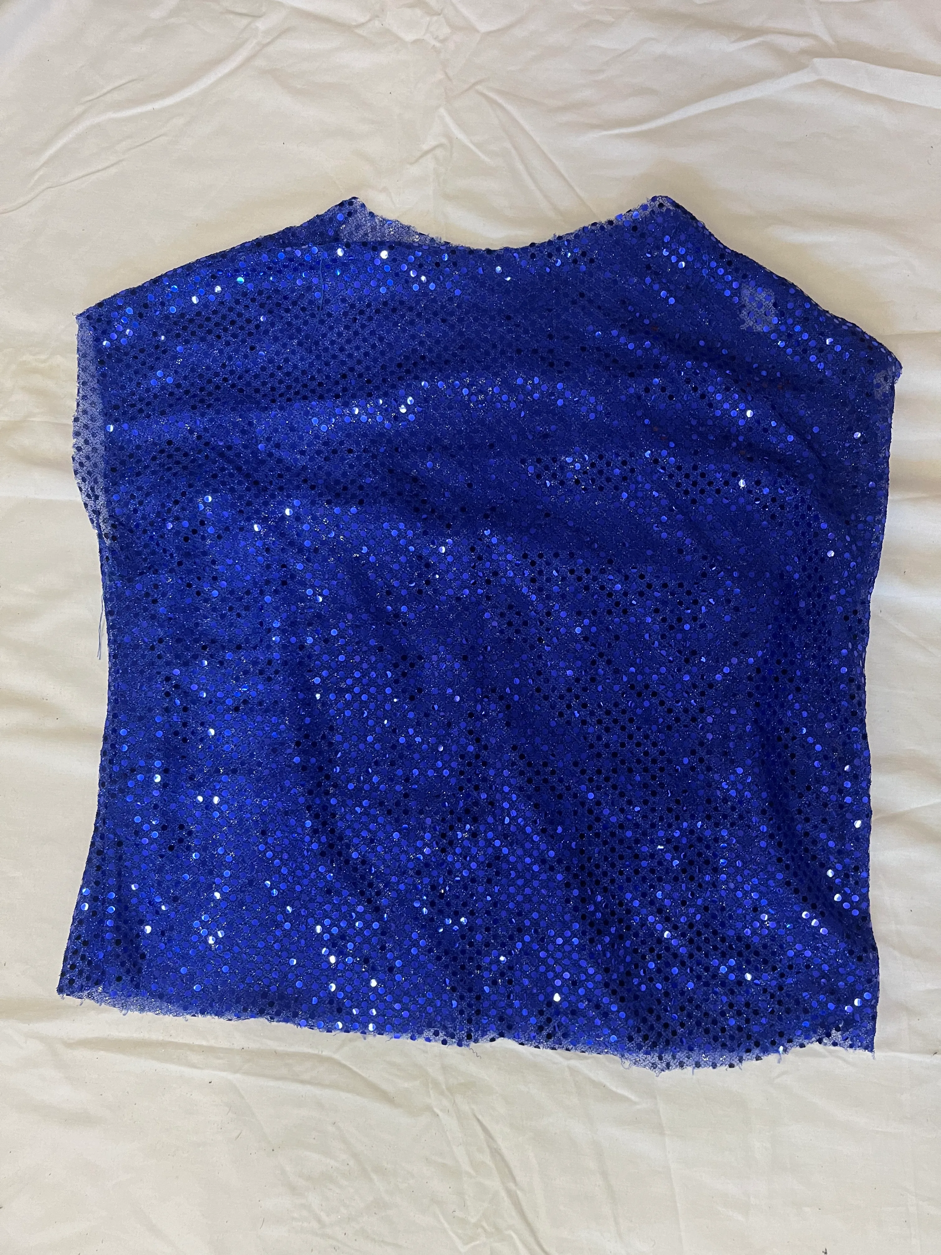 Top- Royal blue mesh top