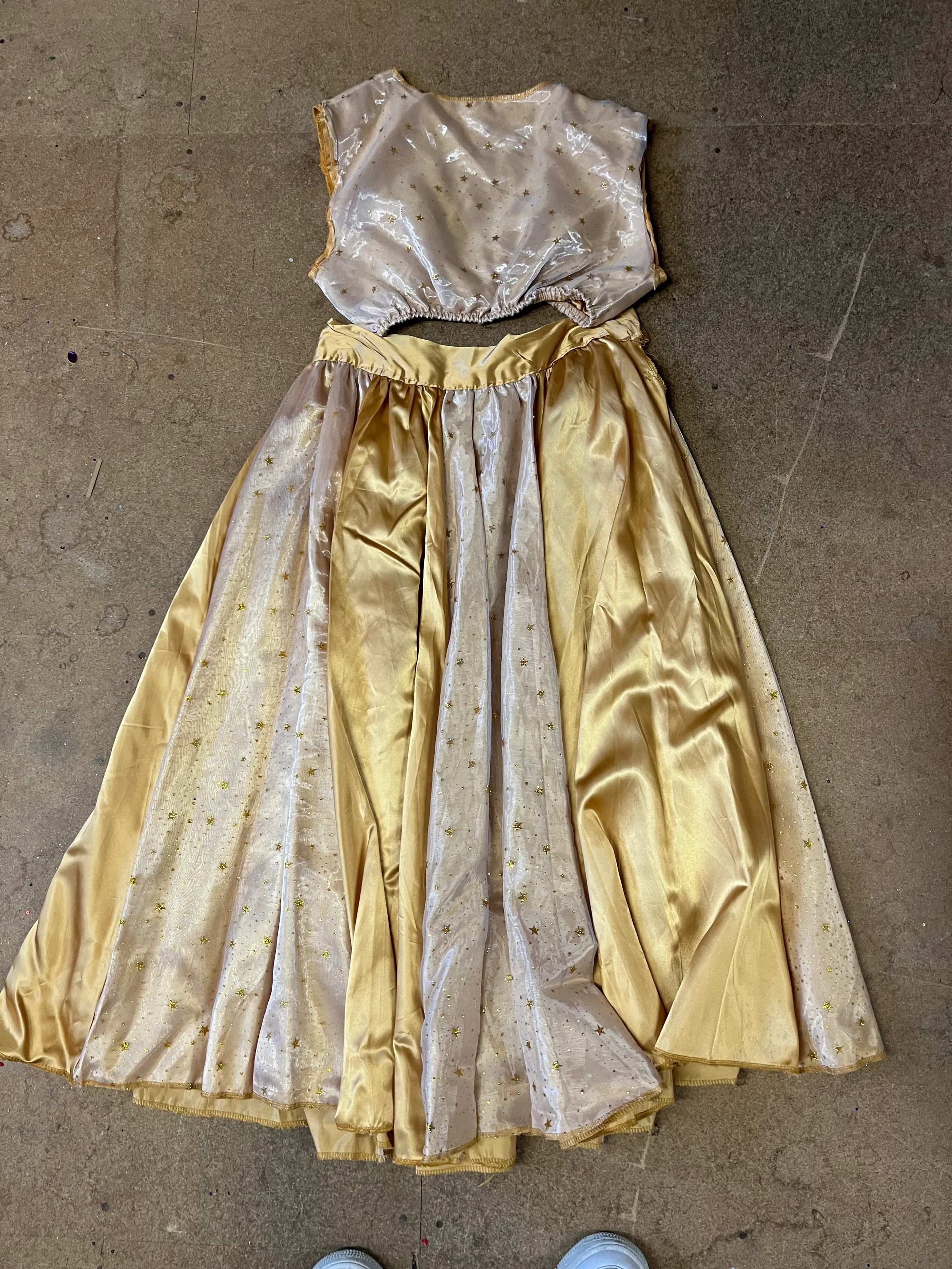 Skirt- Gold Bollywood Skirt and crop top