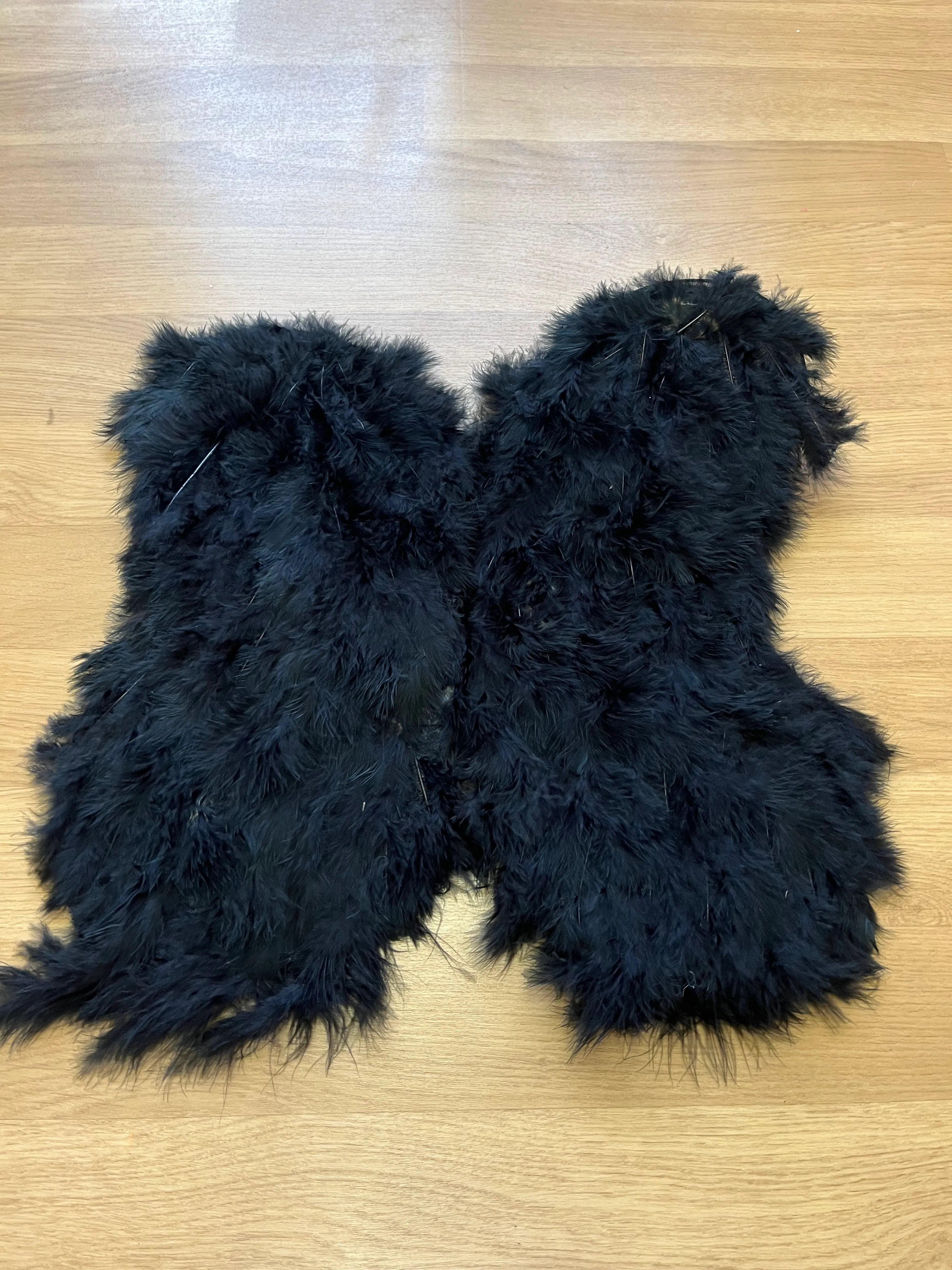 Wings- Black feathers