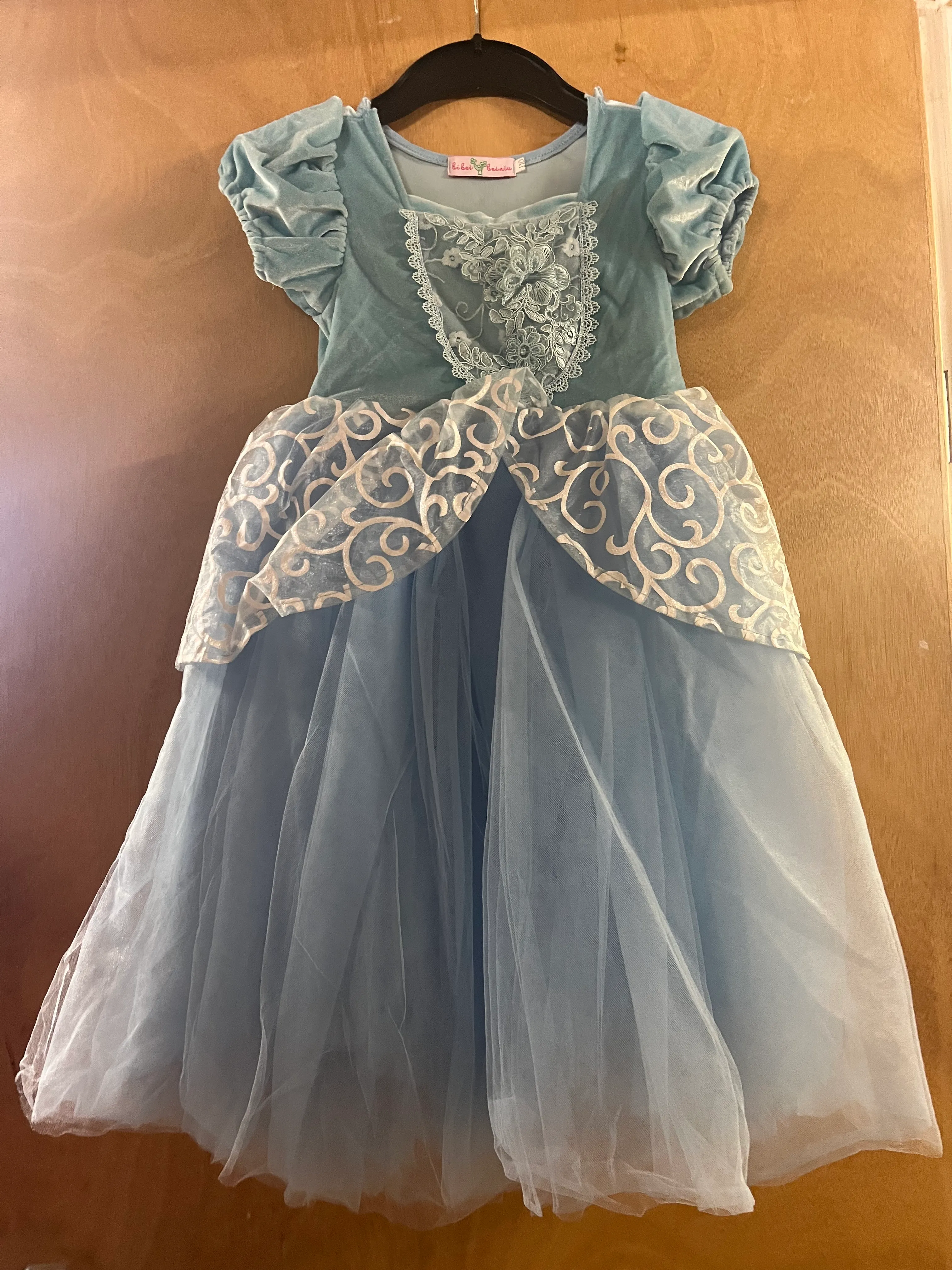 Dress- Blue princess dress