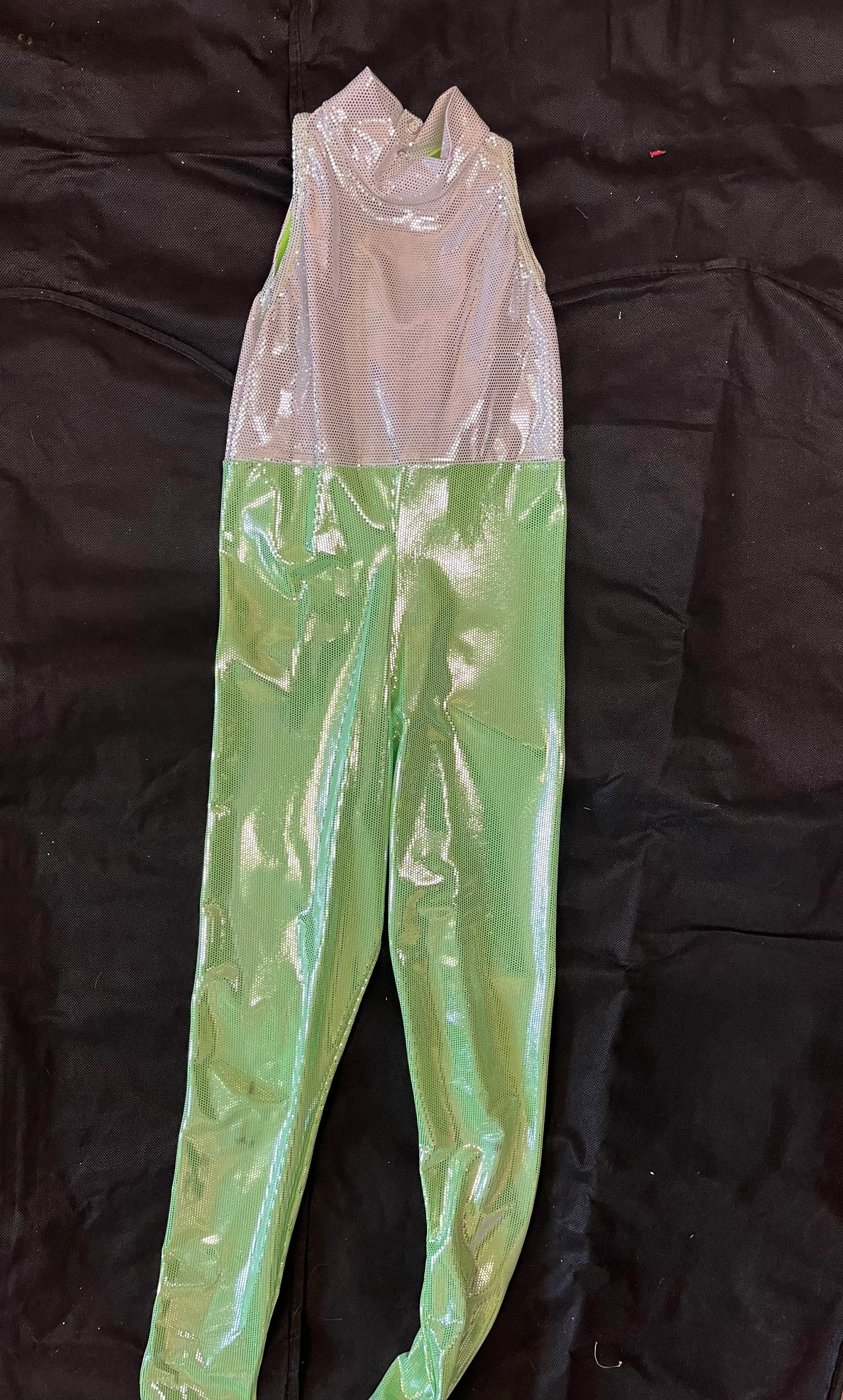 Catsuit- Silver and green 