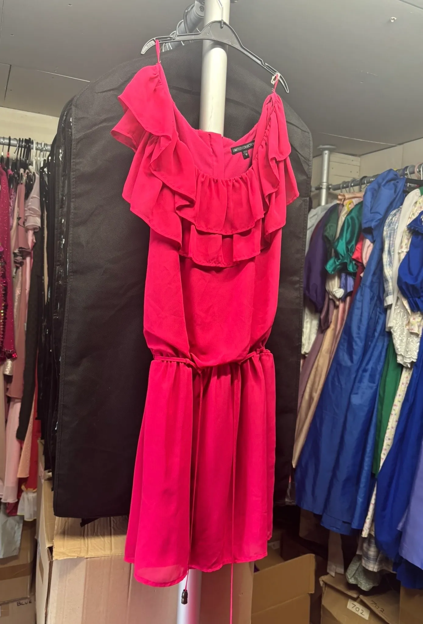 Dress- Bright Pink frill