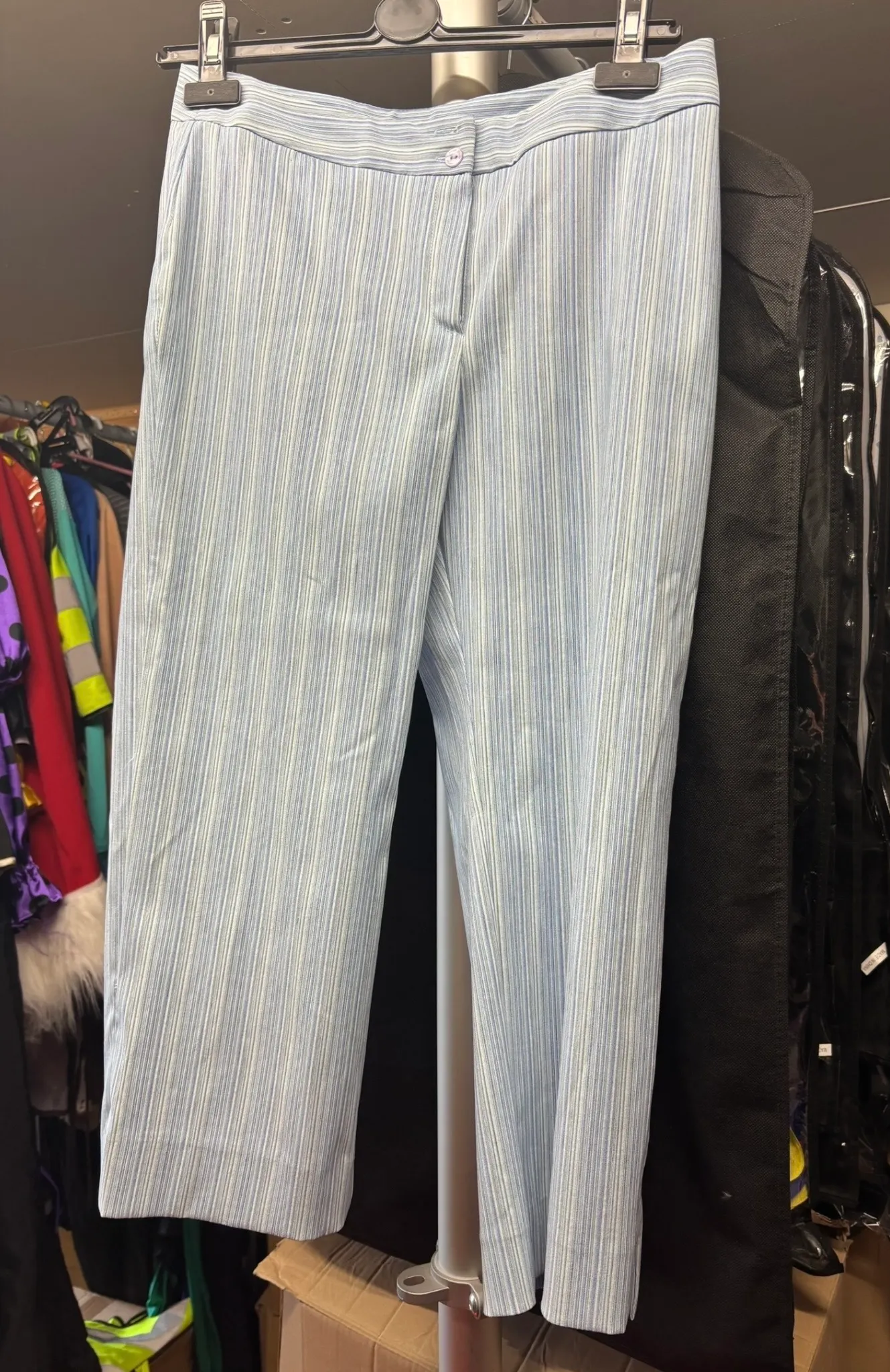 Trousers- Blue Striped