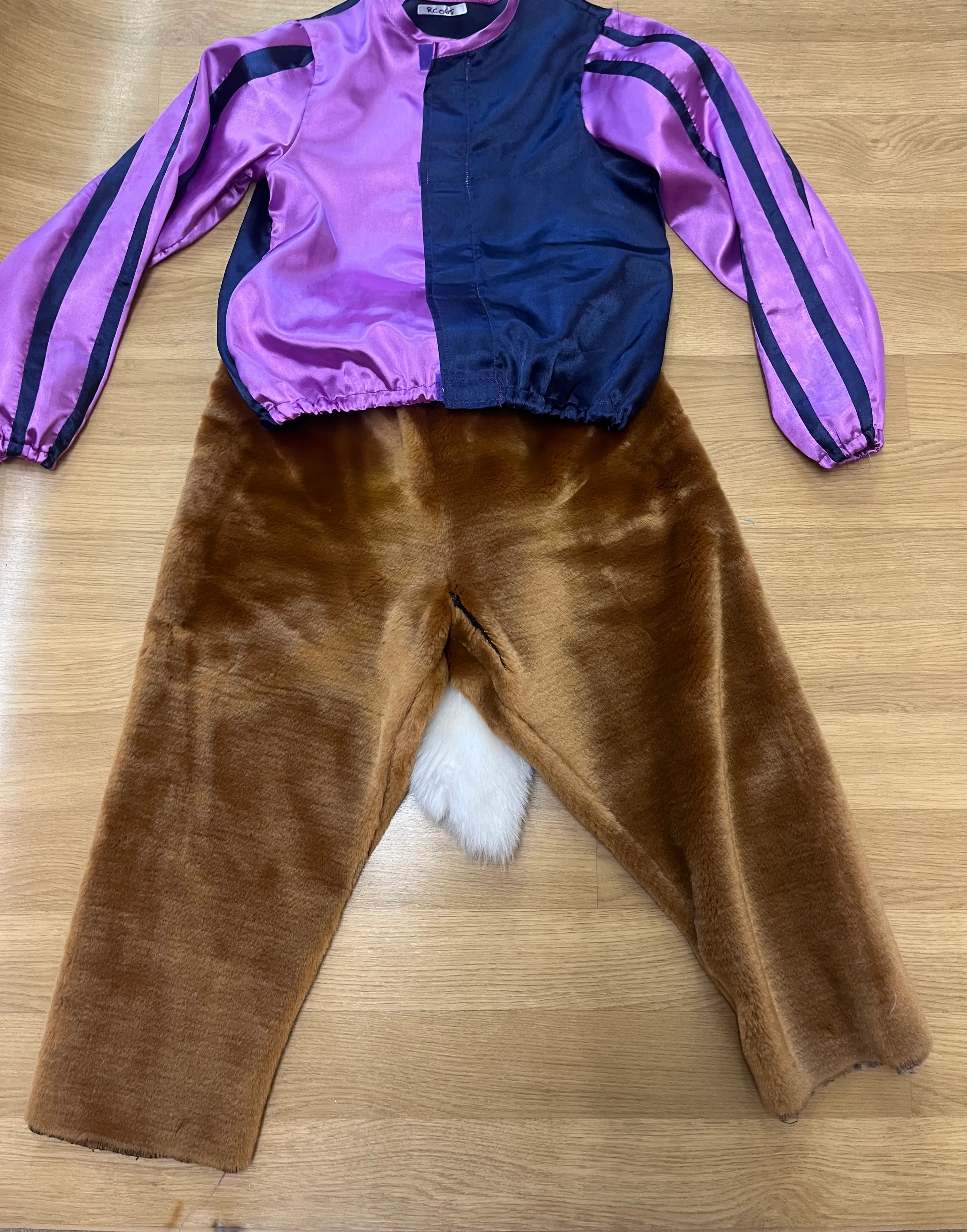 Character- Jokey purple