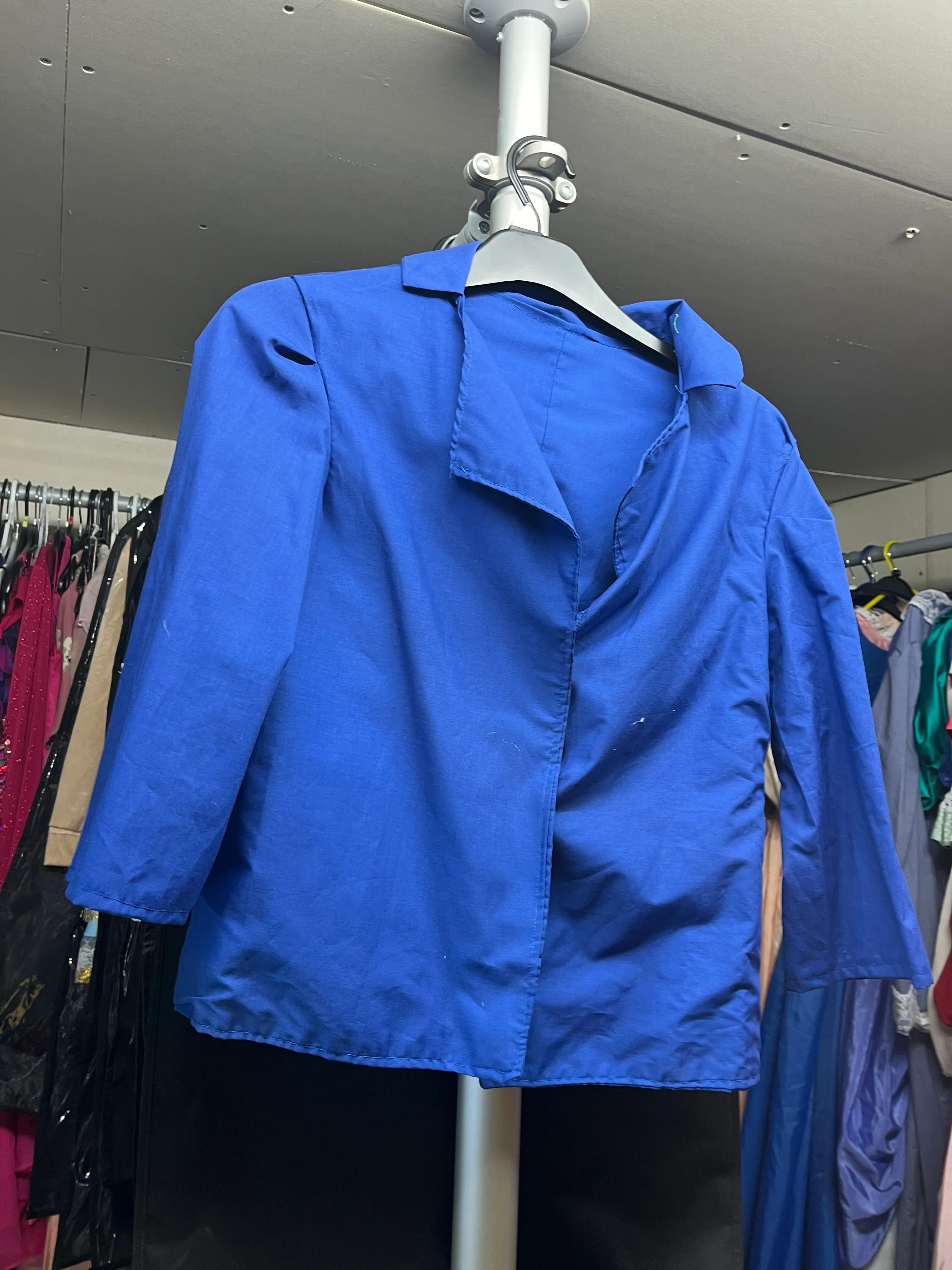 Top- Royal blue long sleeve