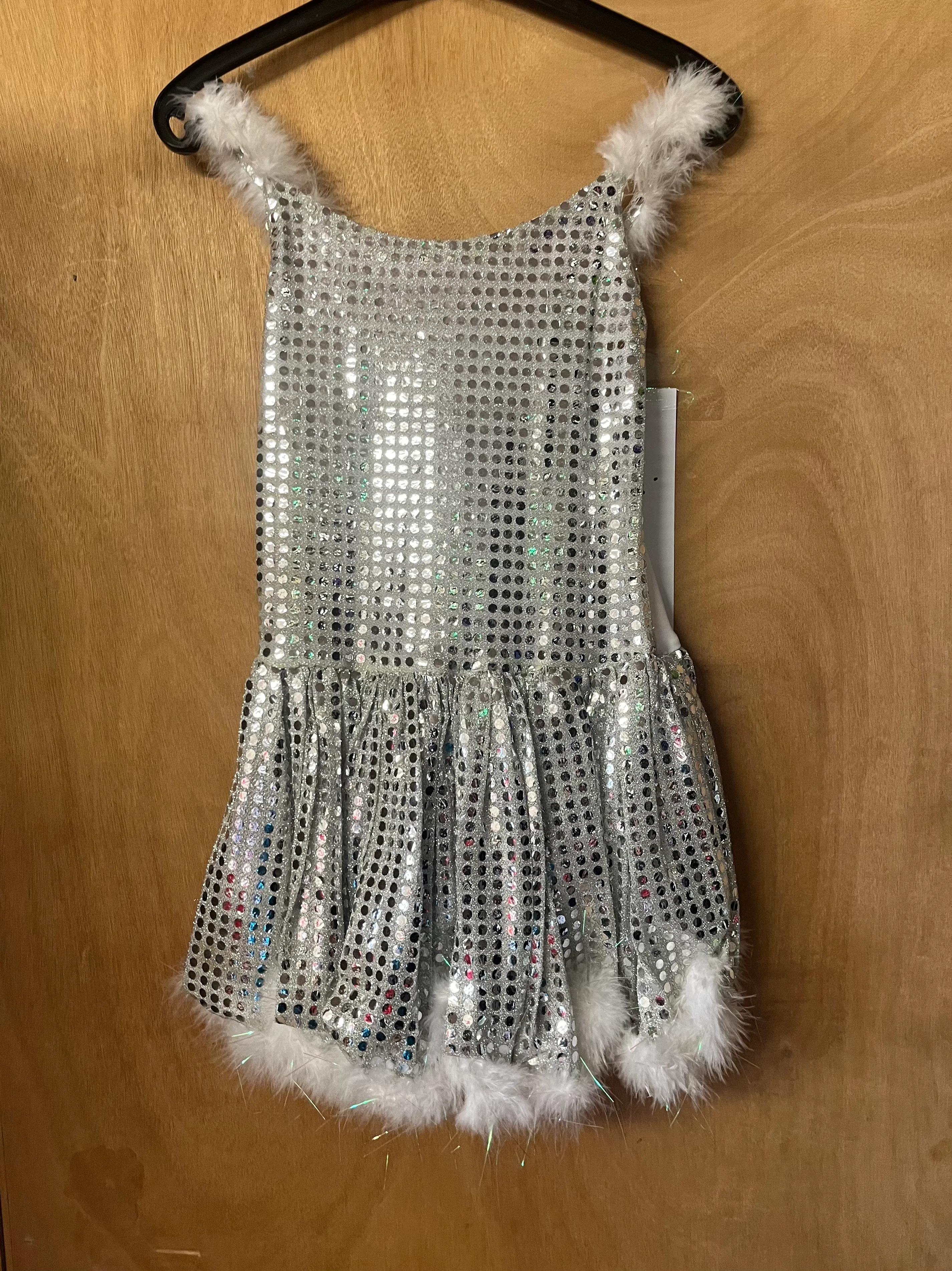 Dress- silver sparkly fur outline 
