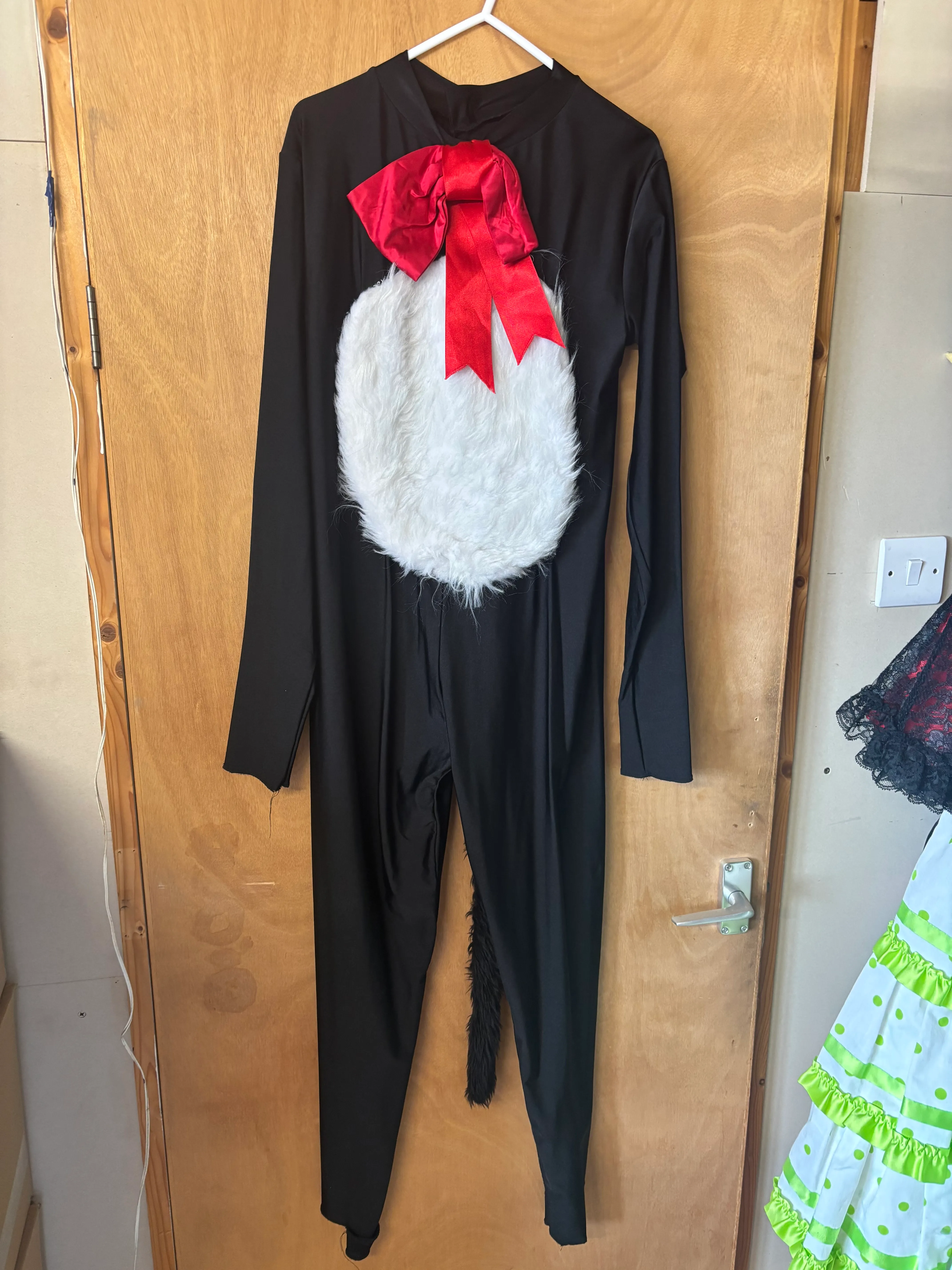 Character- Cat In the hat