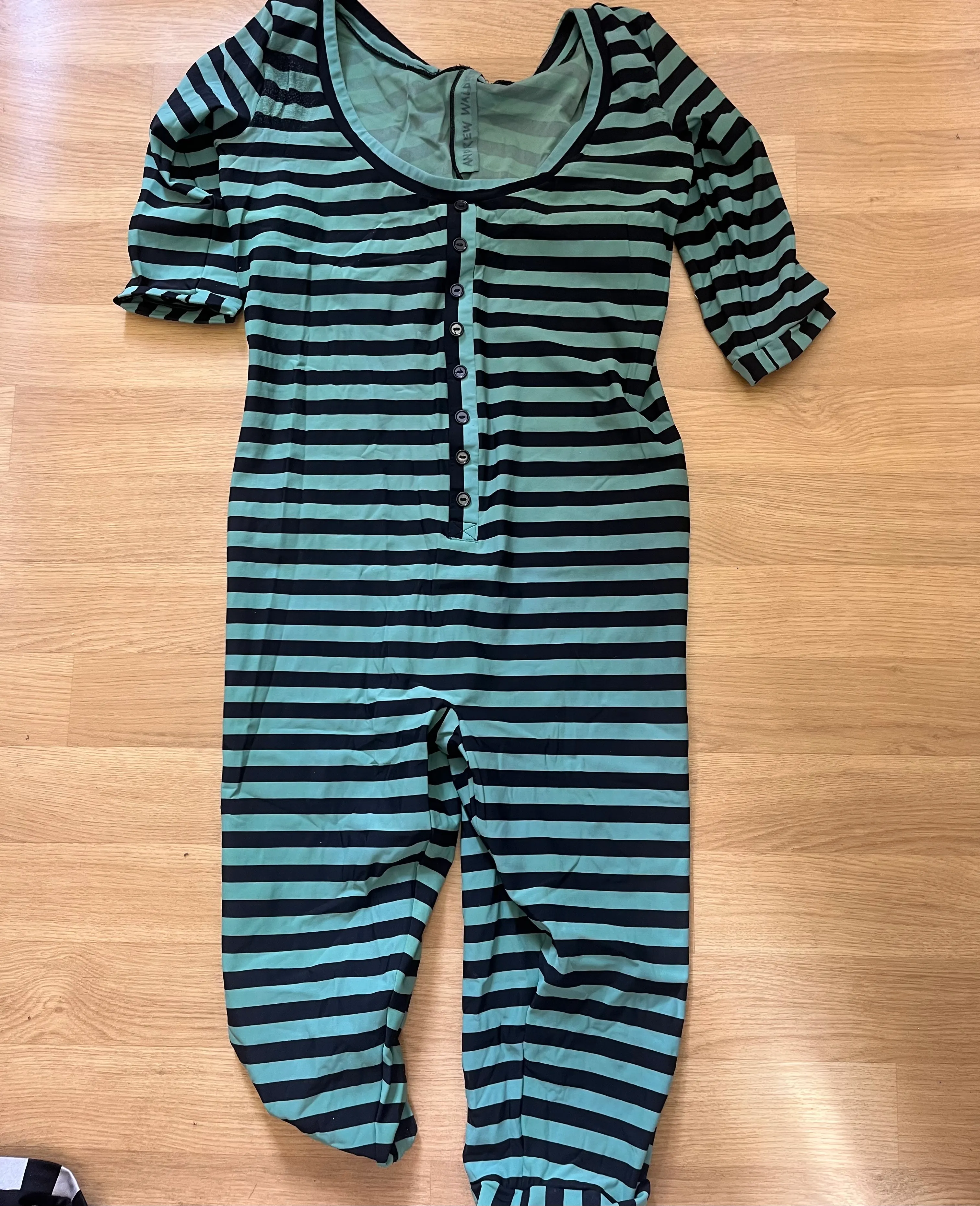 Catsuit/Unitard- Victorian Male Bathing suit Green