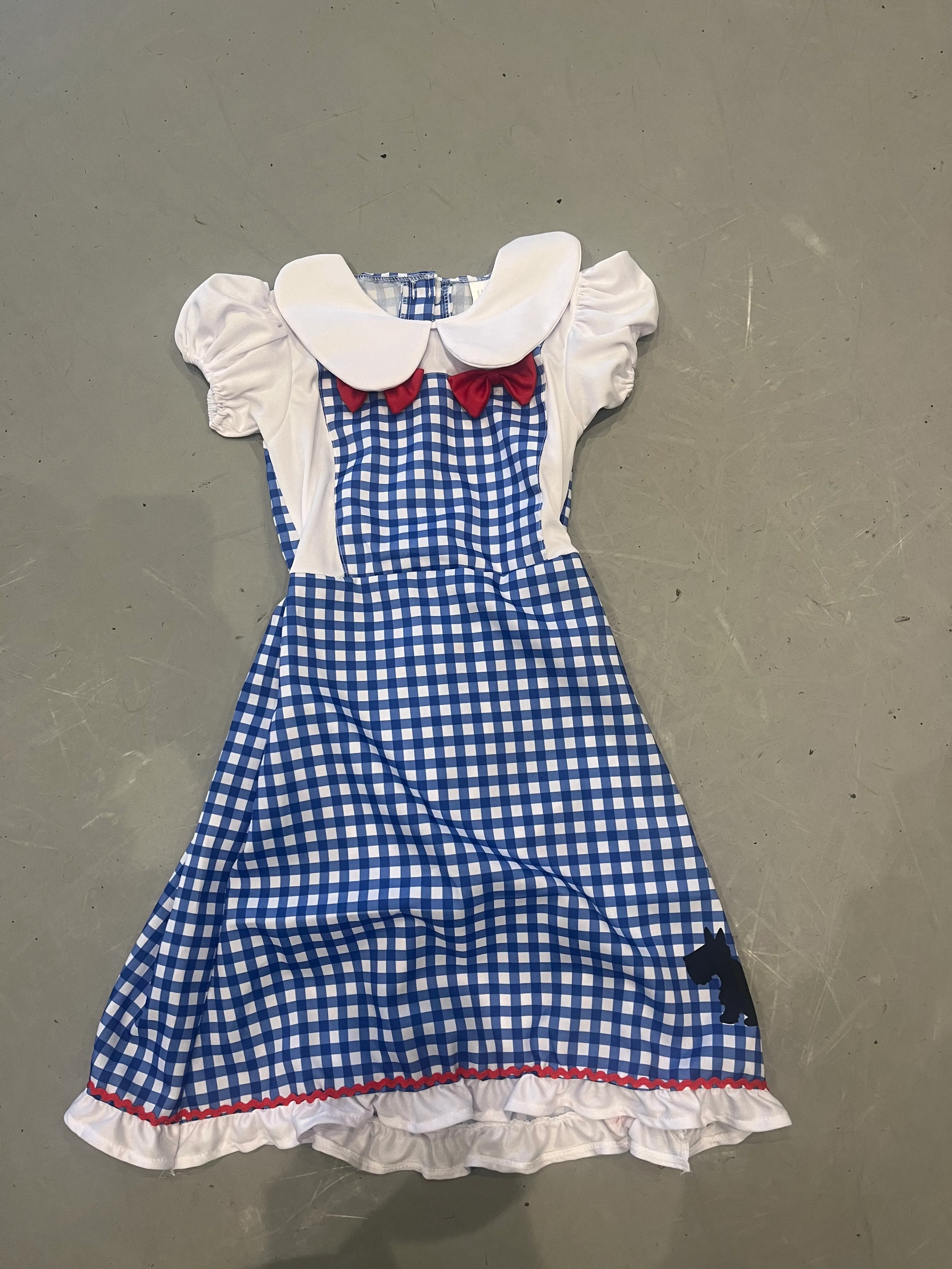 Character- Wizard of oz Dorothy dress