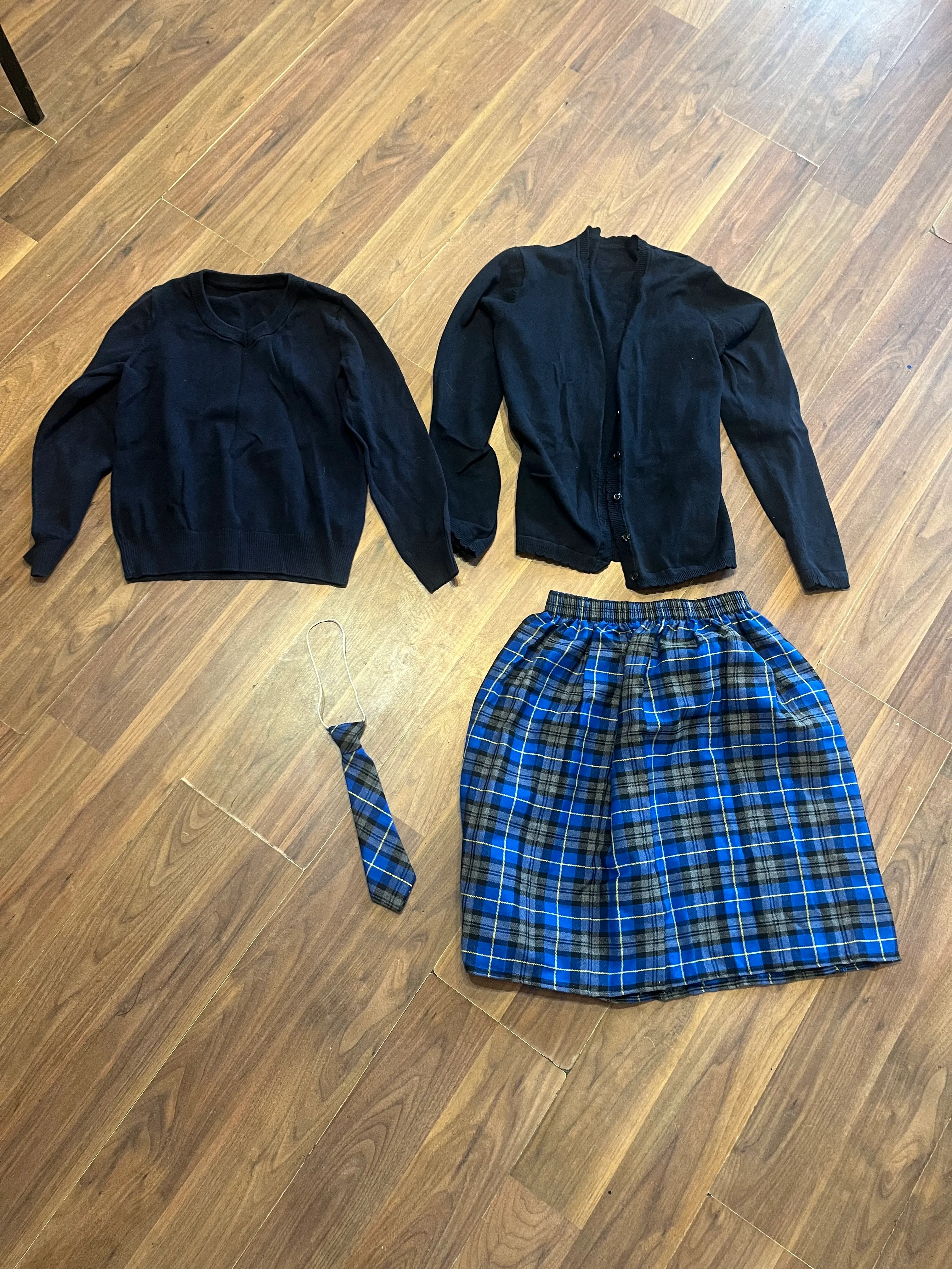 Character- school skirt and cardigan/ jumper