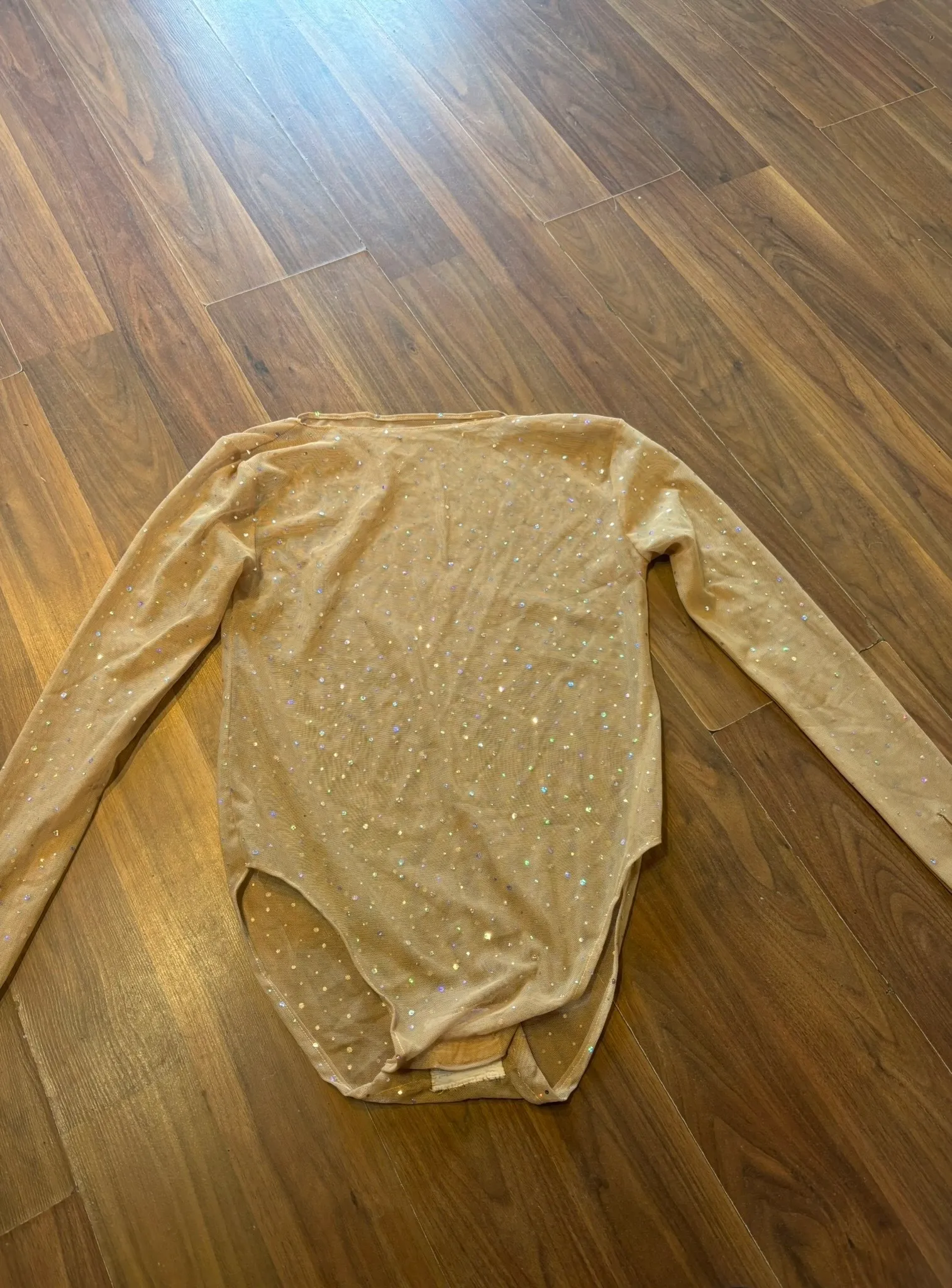 Leotard- Gold Mesh Bodysuit