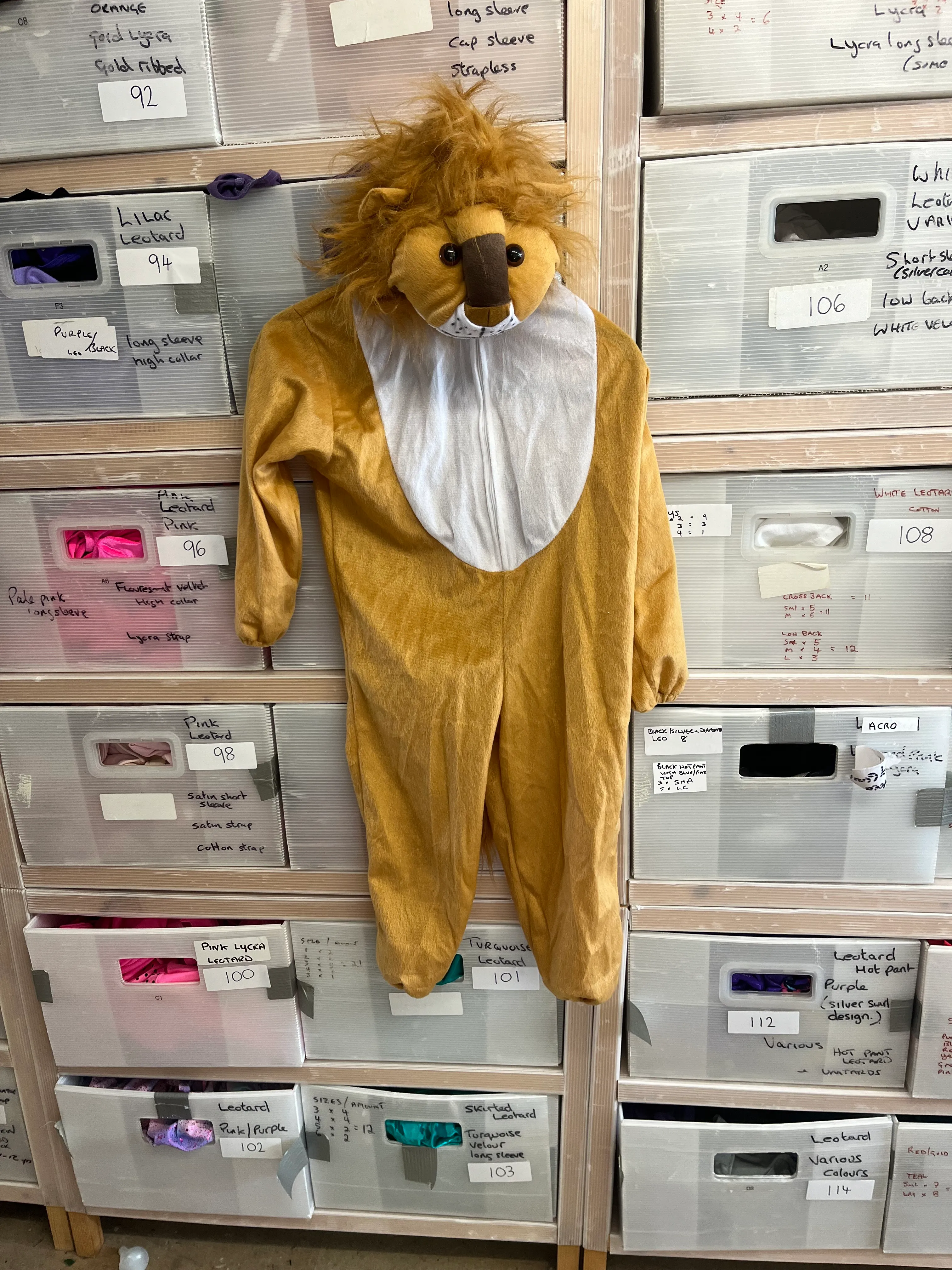 Character- Lion onesie