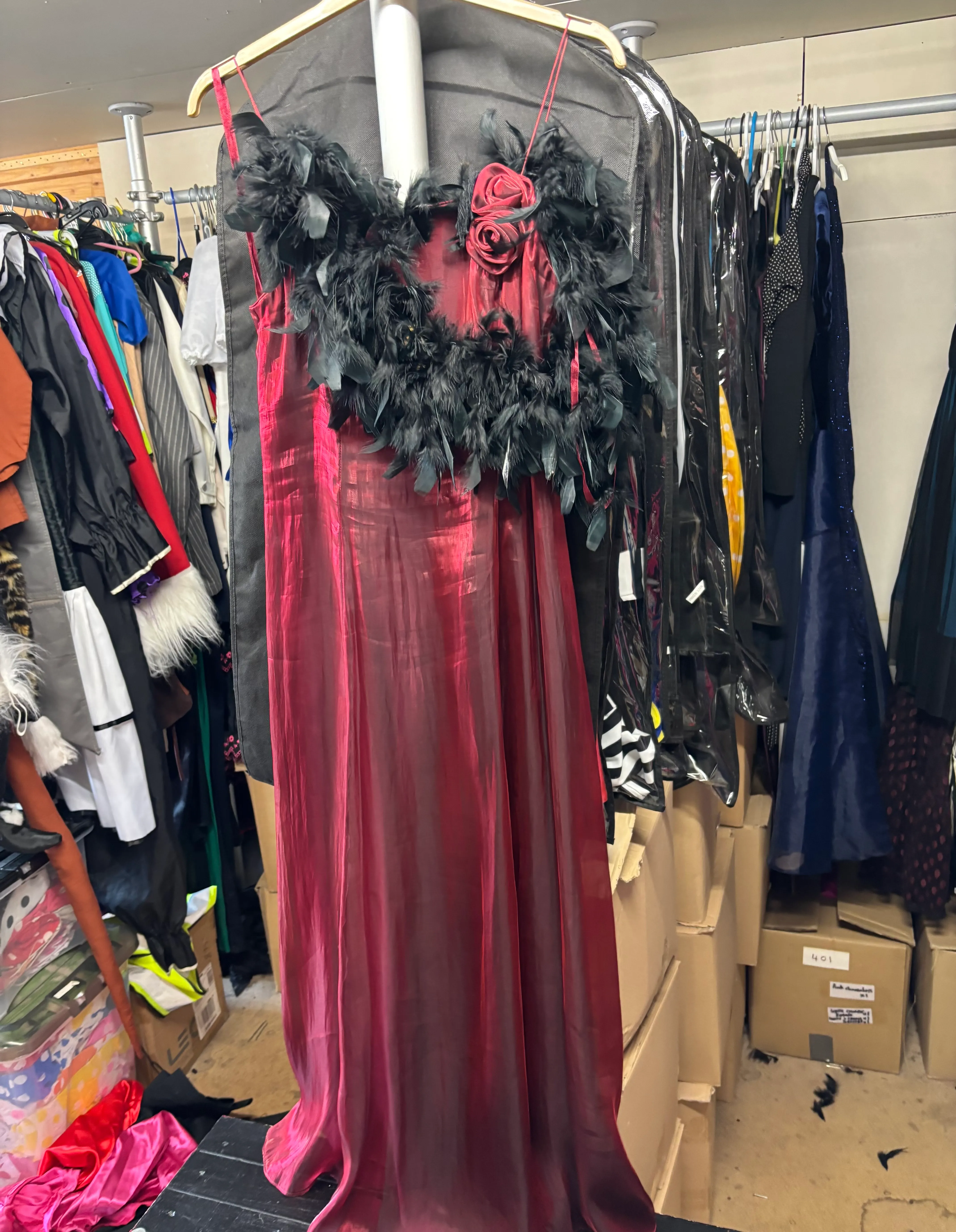 Dress- Red and Black feather design