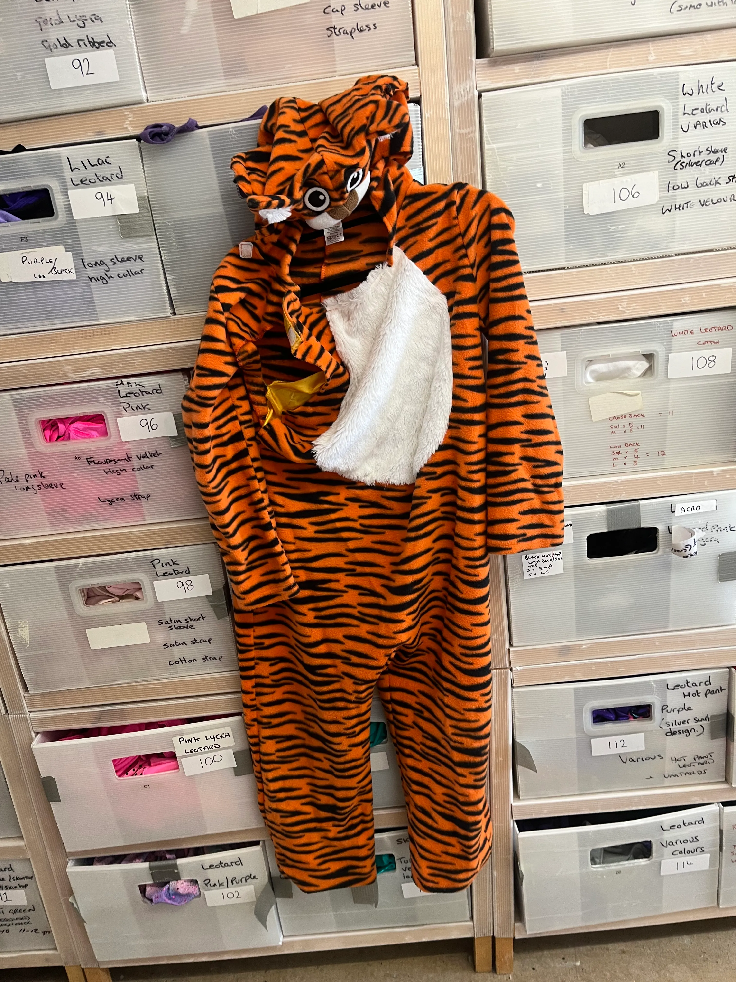 Character- Tiger onesie