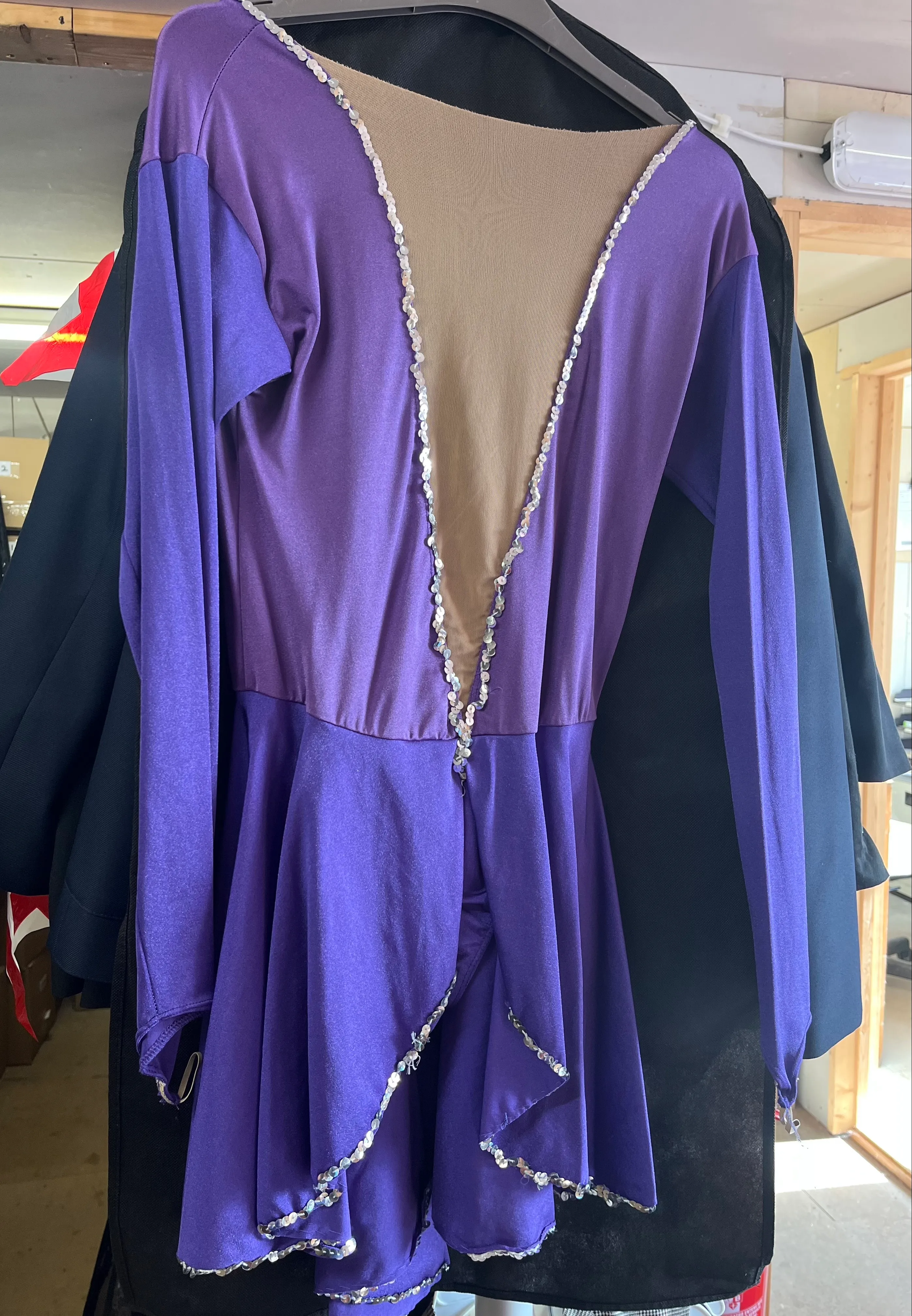 Skirted leotard- purple long sleeve
