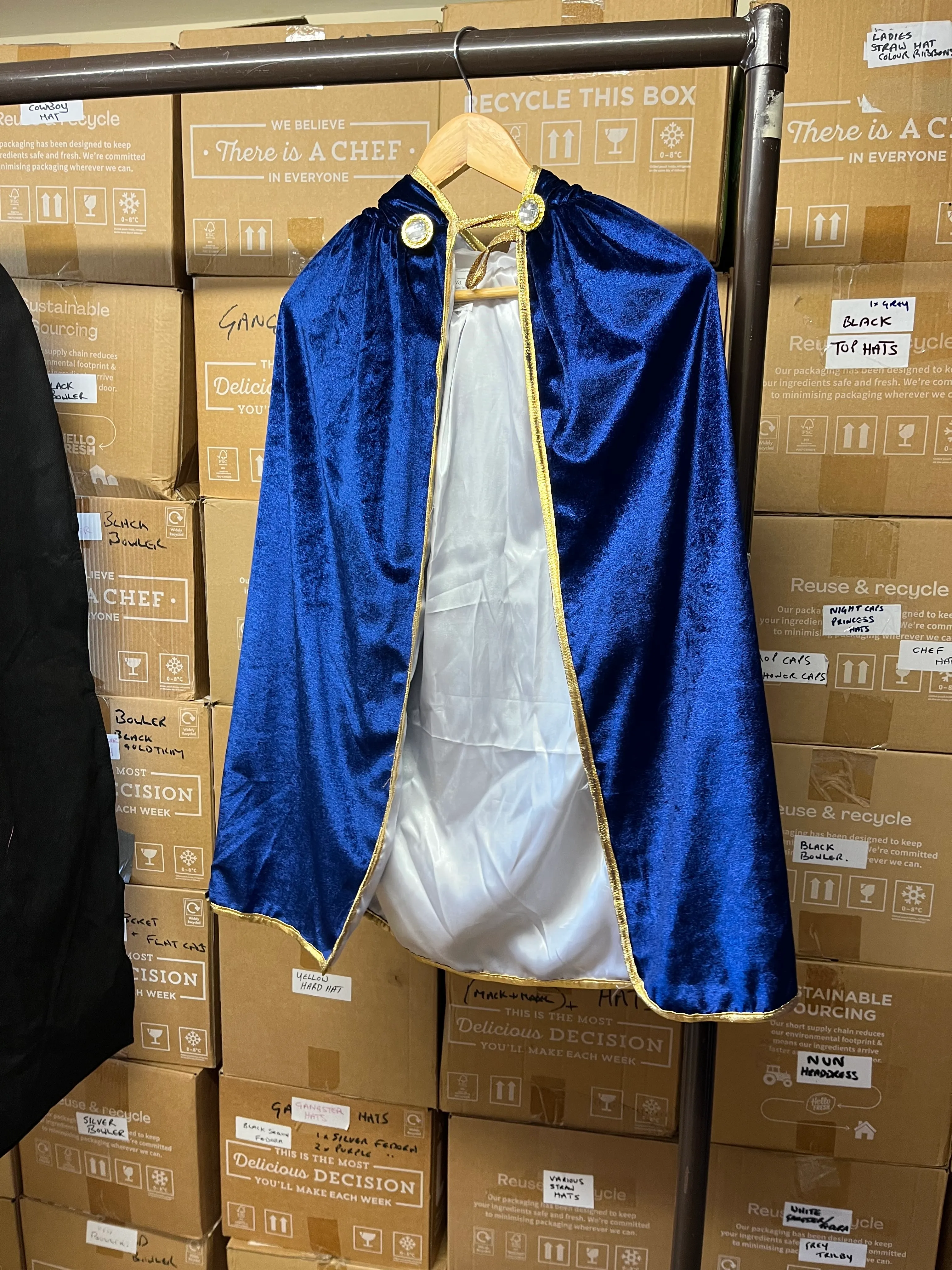 Character- Blue and Gold cape