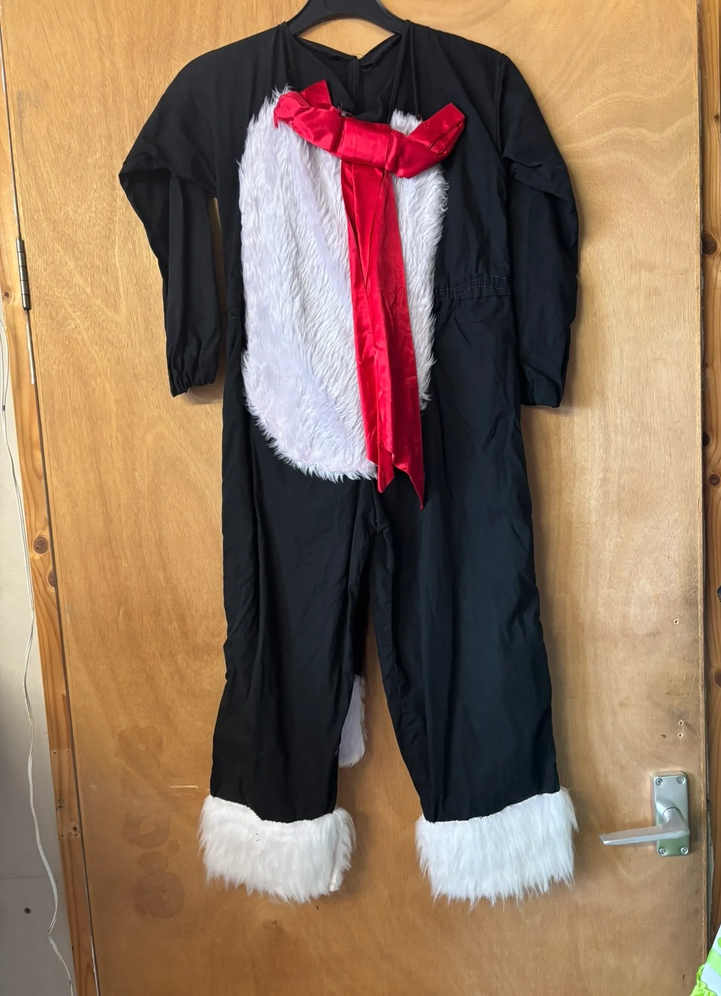 Character- Cat in the hat jumpsuit
