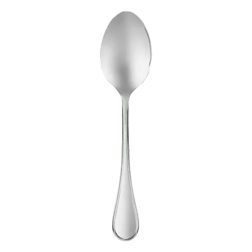 Stainless Steel Spoon