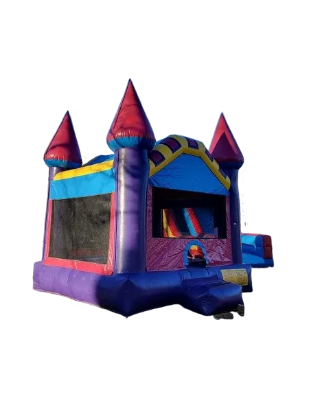 Purple Princess Moon Bounce