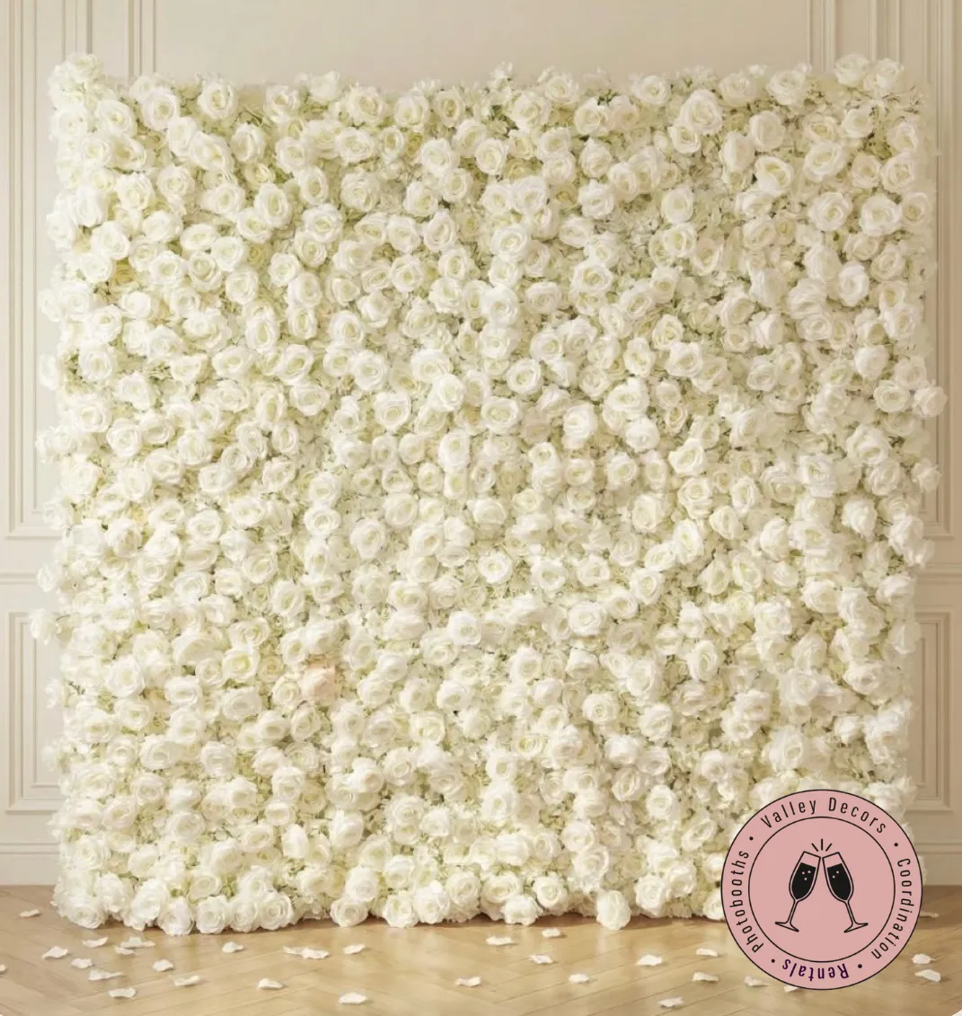 White Rose Flower Wall