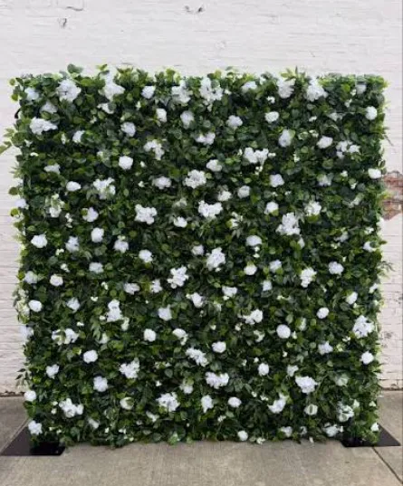 Grass Wall with White Flowers 8x10
